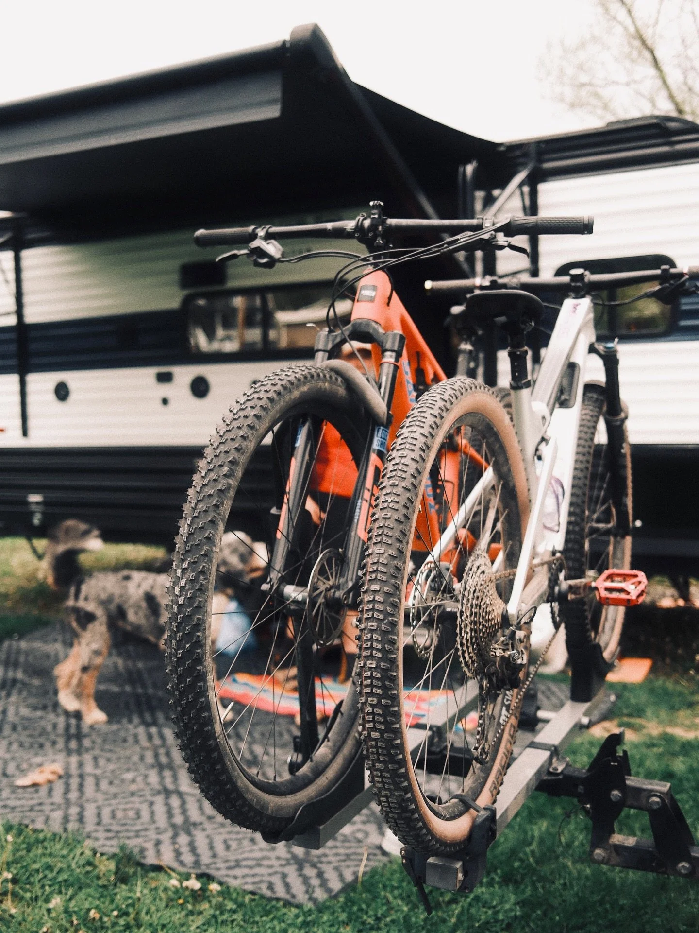 West Virginia is for MTB lovers

#visitwestvirginia #mountainstate #mtb #westva #mountainbikelife