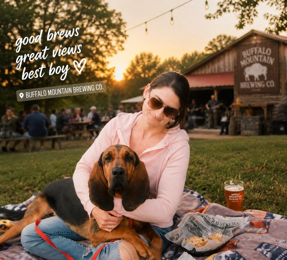 Must stop when in @visitfloydva, Buffalo Mountain Brewery

This place had friendly folks, dogs everywhere, music playing in the background, and plenty of space to hang out for a while. We grabbed a couple beers, threw down a blanket, and stayed way l