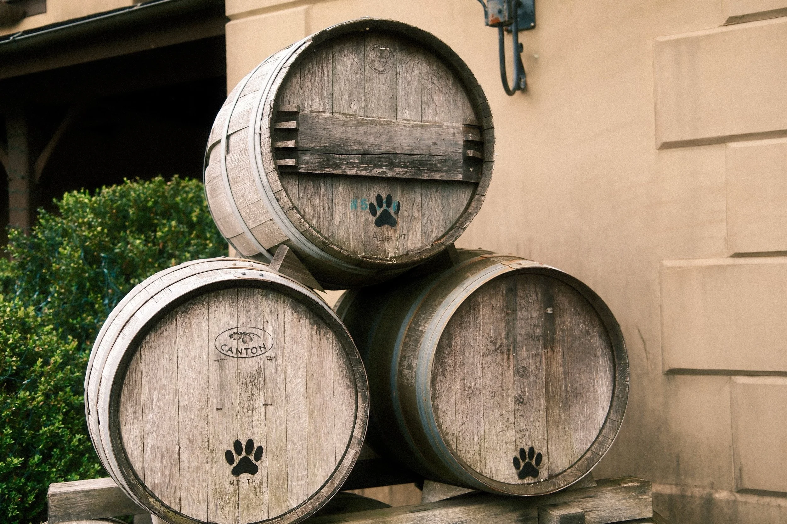 Love when you happen upon fellow dog people, and they combine dogs and wine! 🐾

#virginiawinecountry #dogsofvirginia #virginiawineries #blueridgemoments