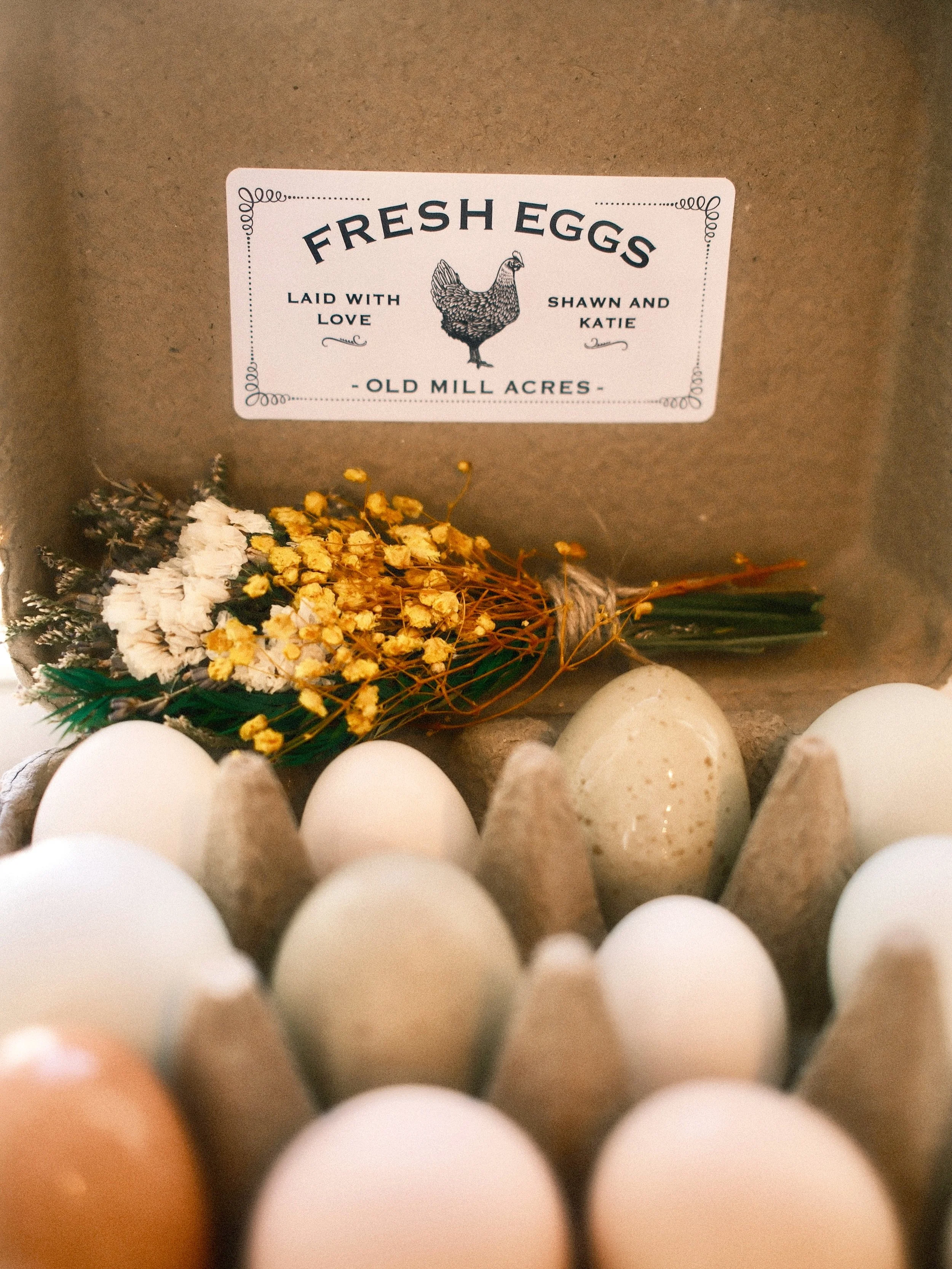 🐔🥚 Farm fresh eggs, straight from the girls at Old Mill Acres!

Our flock ranges in age from babies just getting started to seasoned 7-year-old hens who still know how to get the job done. We are also home to 11 retireees who keep everyone in line.