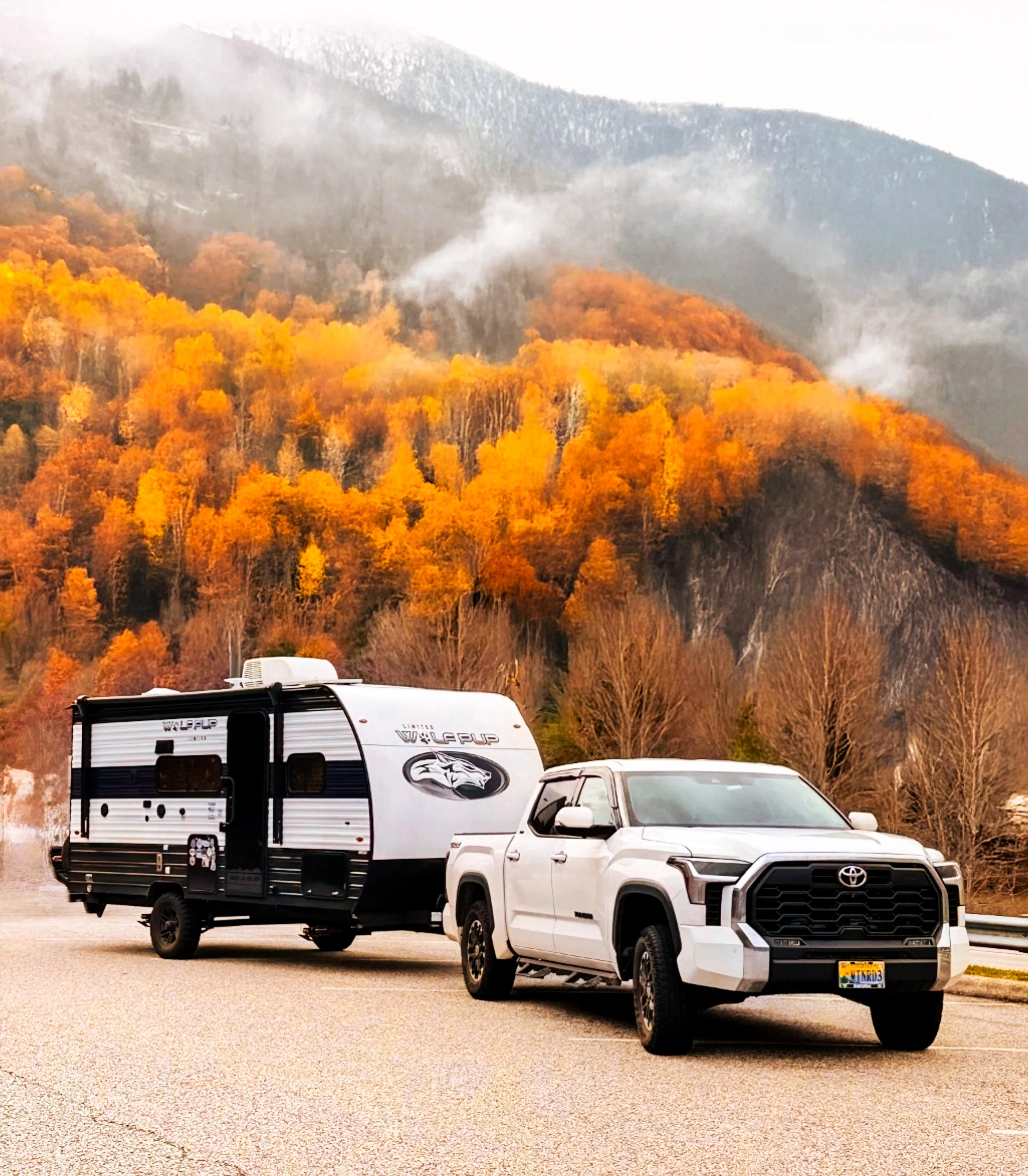 The Roamsteaders Wolf Pup RV