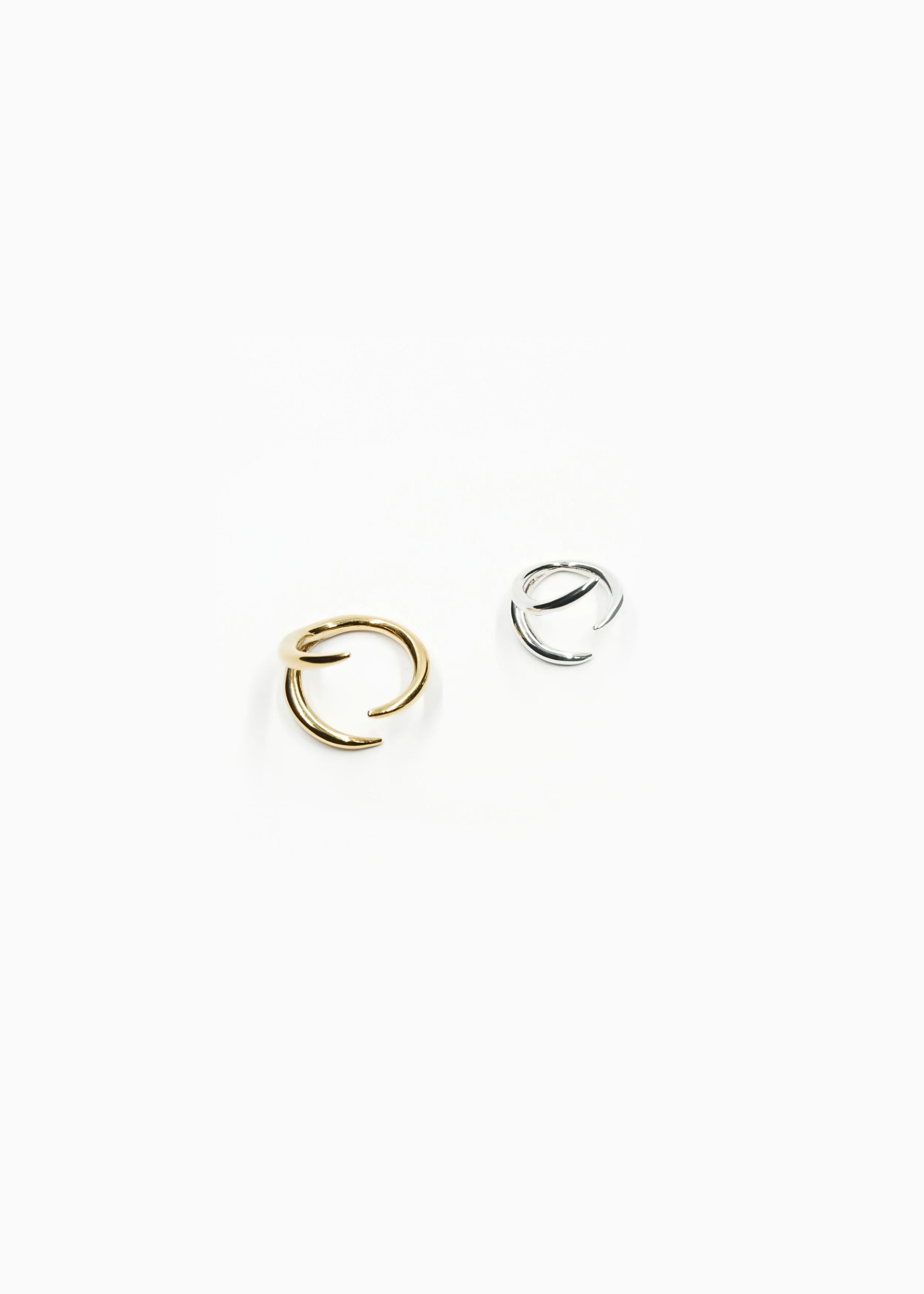 sculpted-anatomy-ear-ring-1c.jpg