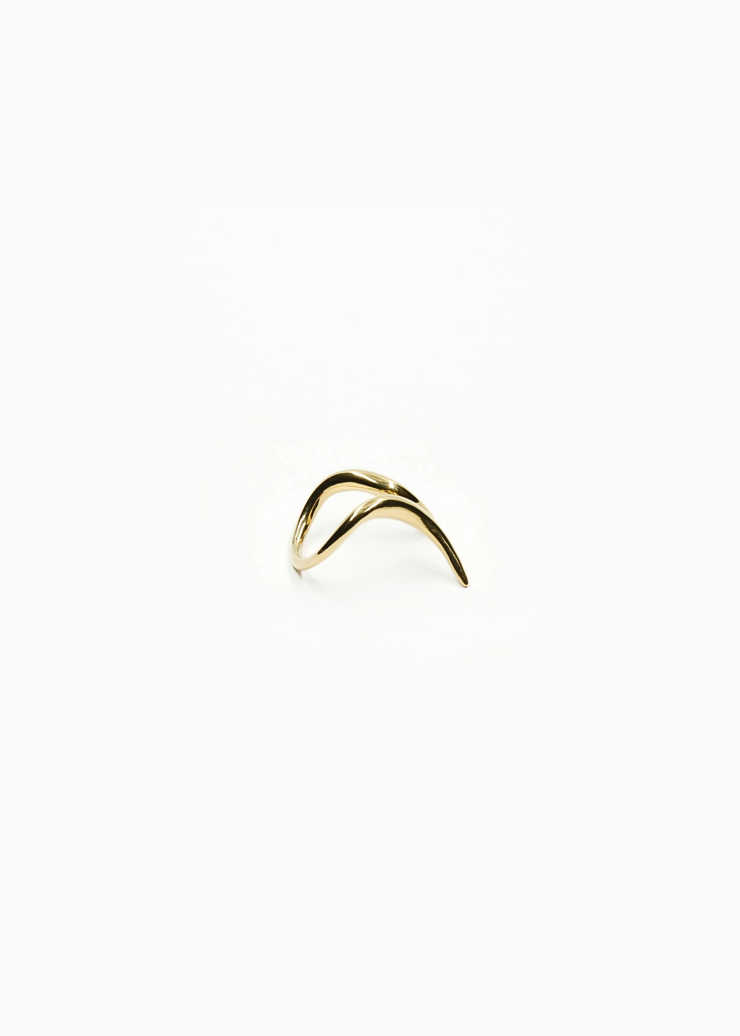 sculpted-anatomy-ear-ring-2g.jpg
