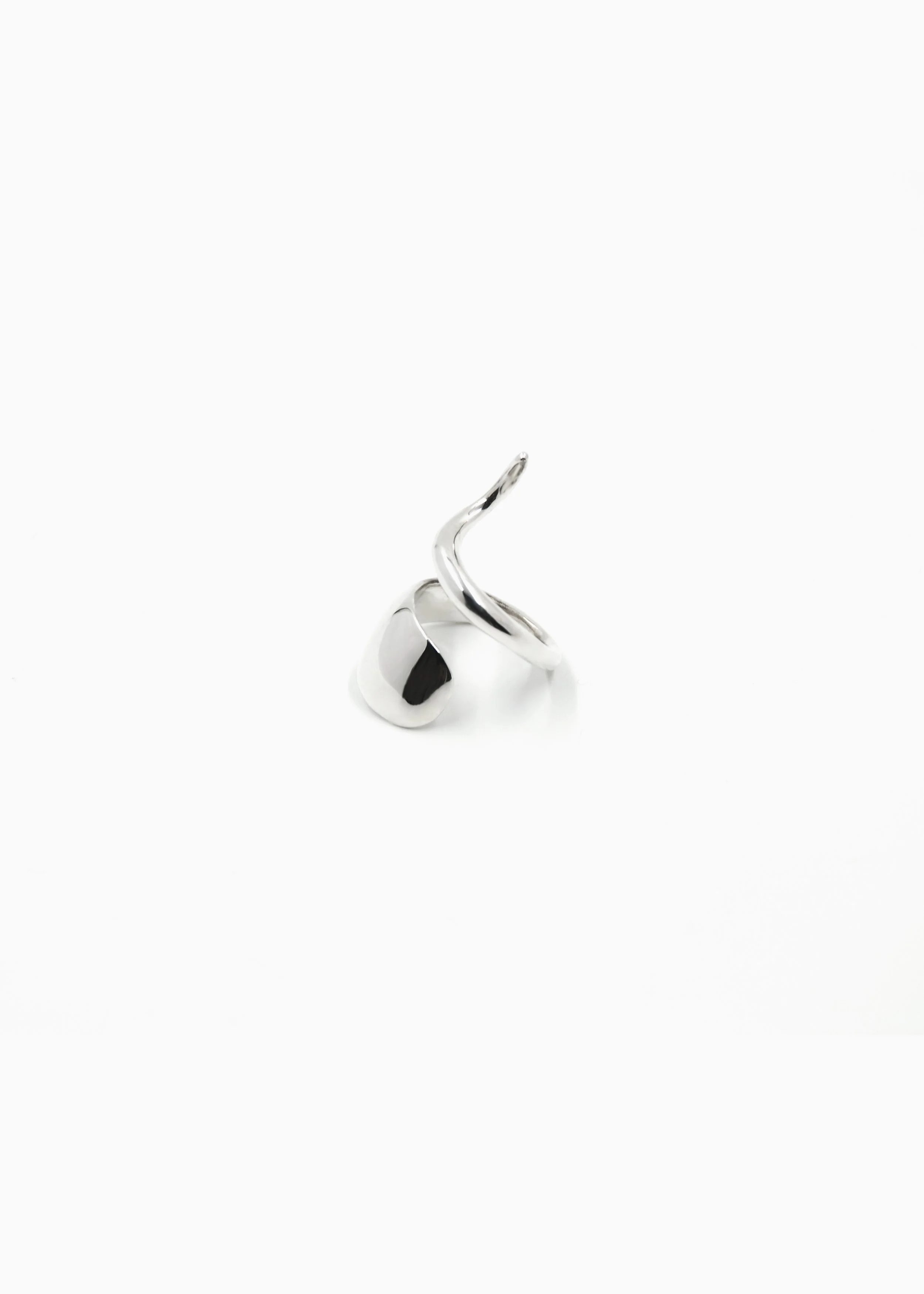 ft-ring-n3.2.jpg