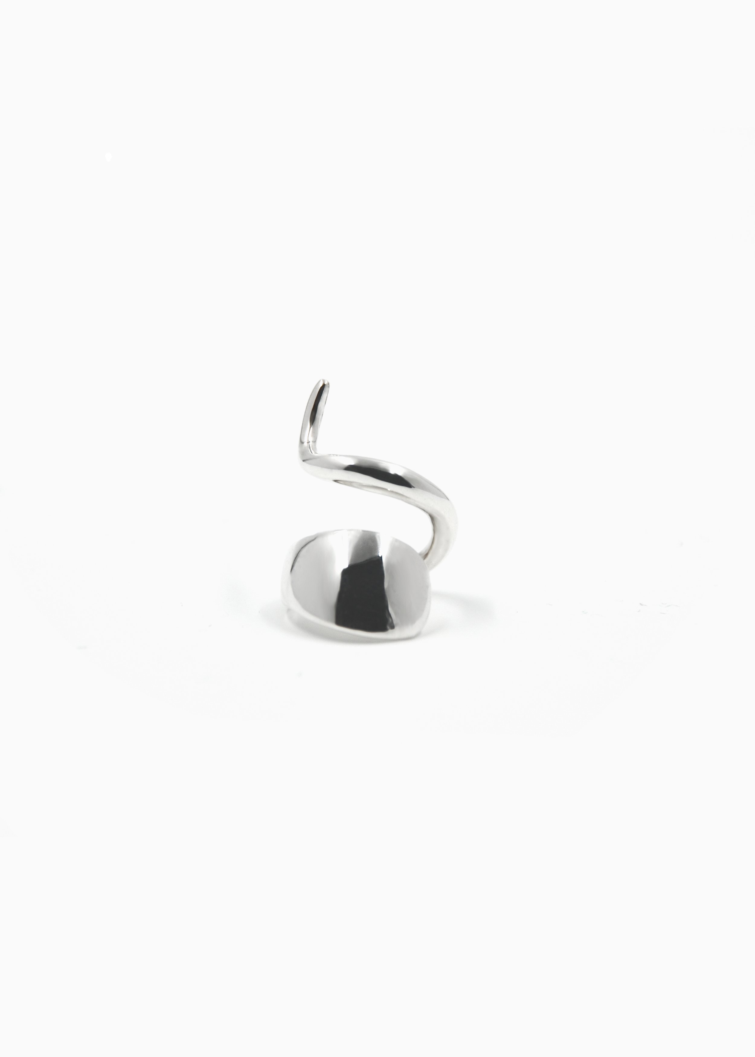 ring10.1.jpg