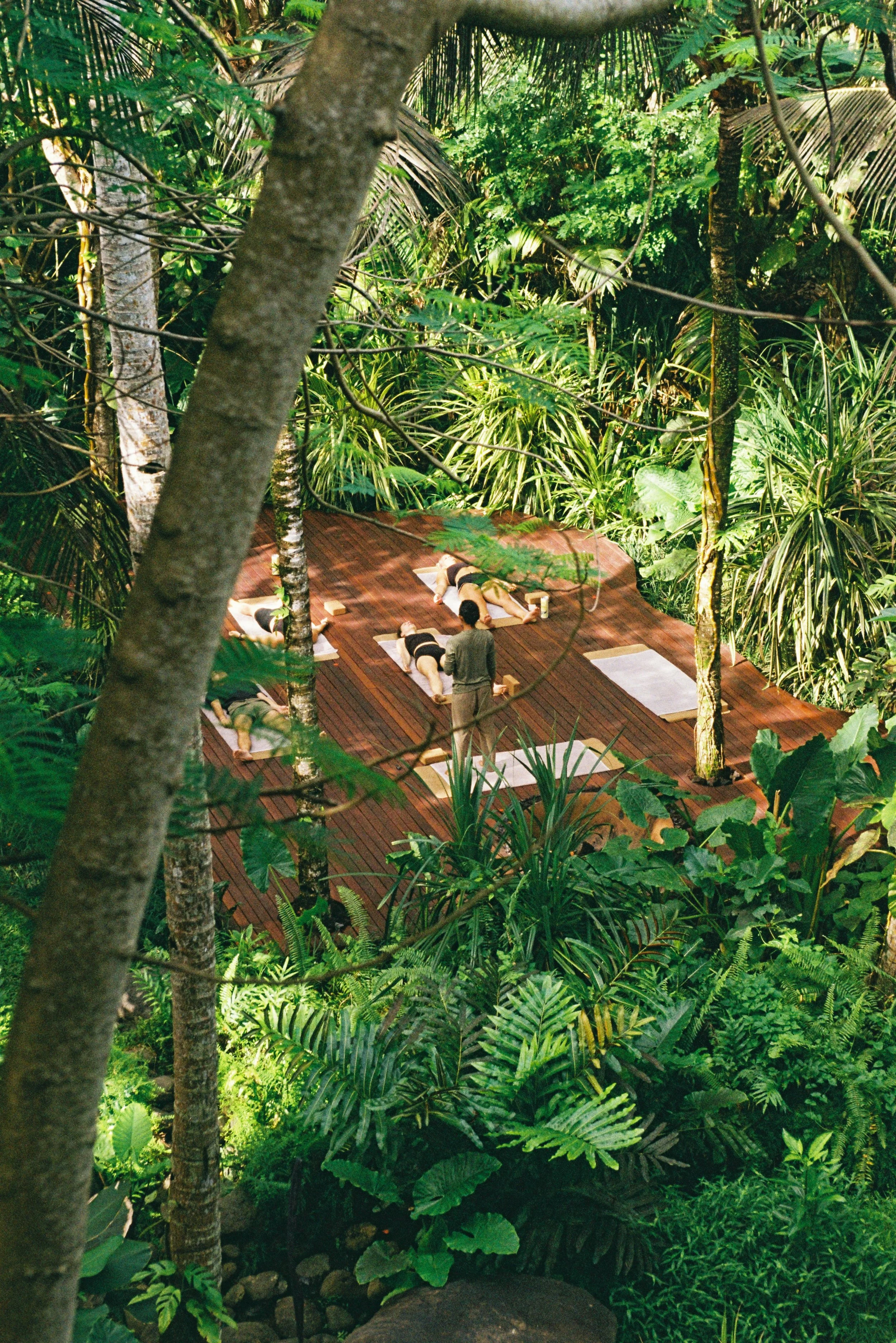 Indoor yoga class in a lush, tropical jungle setting on a wooden platform with several people lying on mats, accompanied by an instructor.