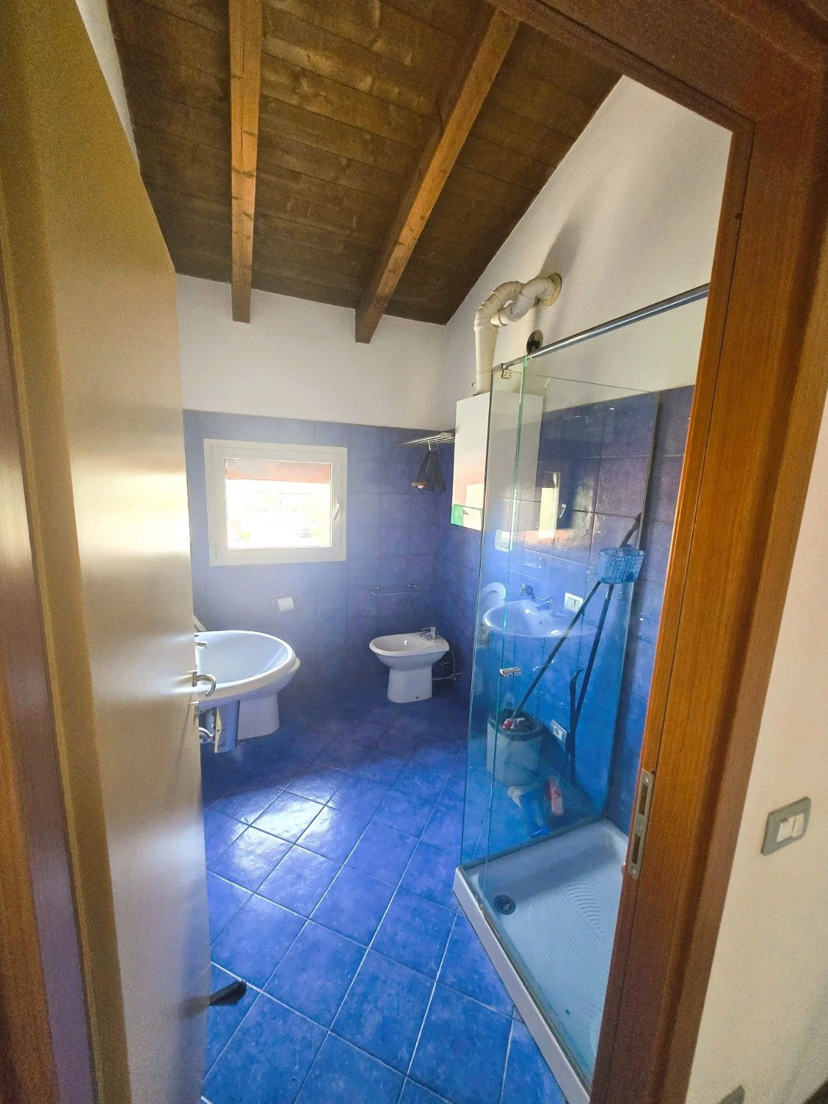 PHOTO-2026-03-17-12-01-24 5.jpg