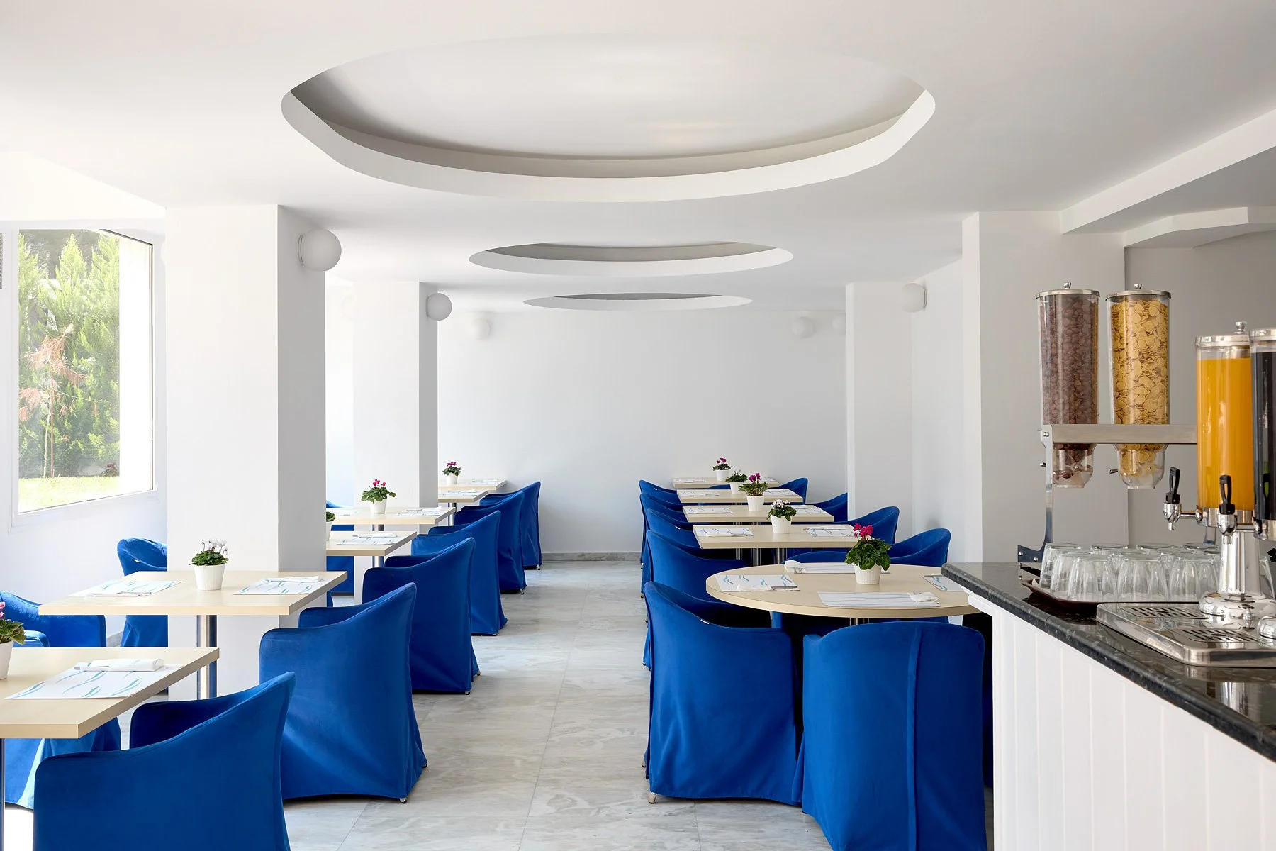 Empty restaurant with white walls and blue chairs, tables set with white napkins and small potted flowers, cereal dispensers and juice on counter, large windows letting in natural light.