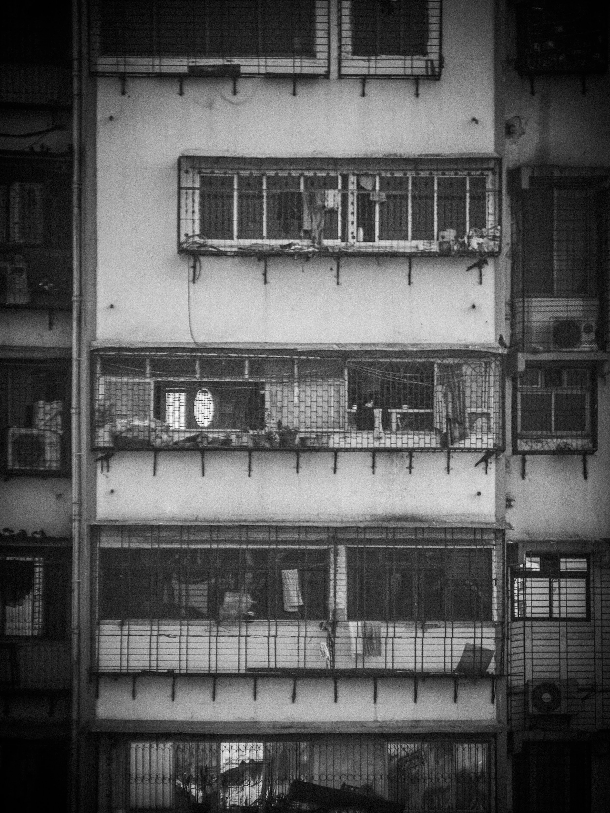 P1104241.jpg