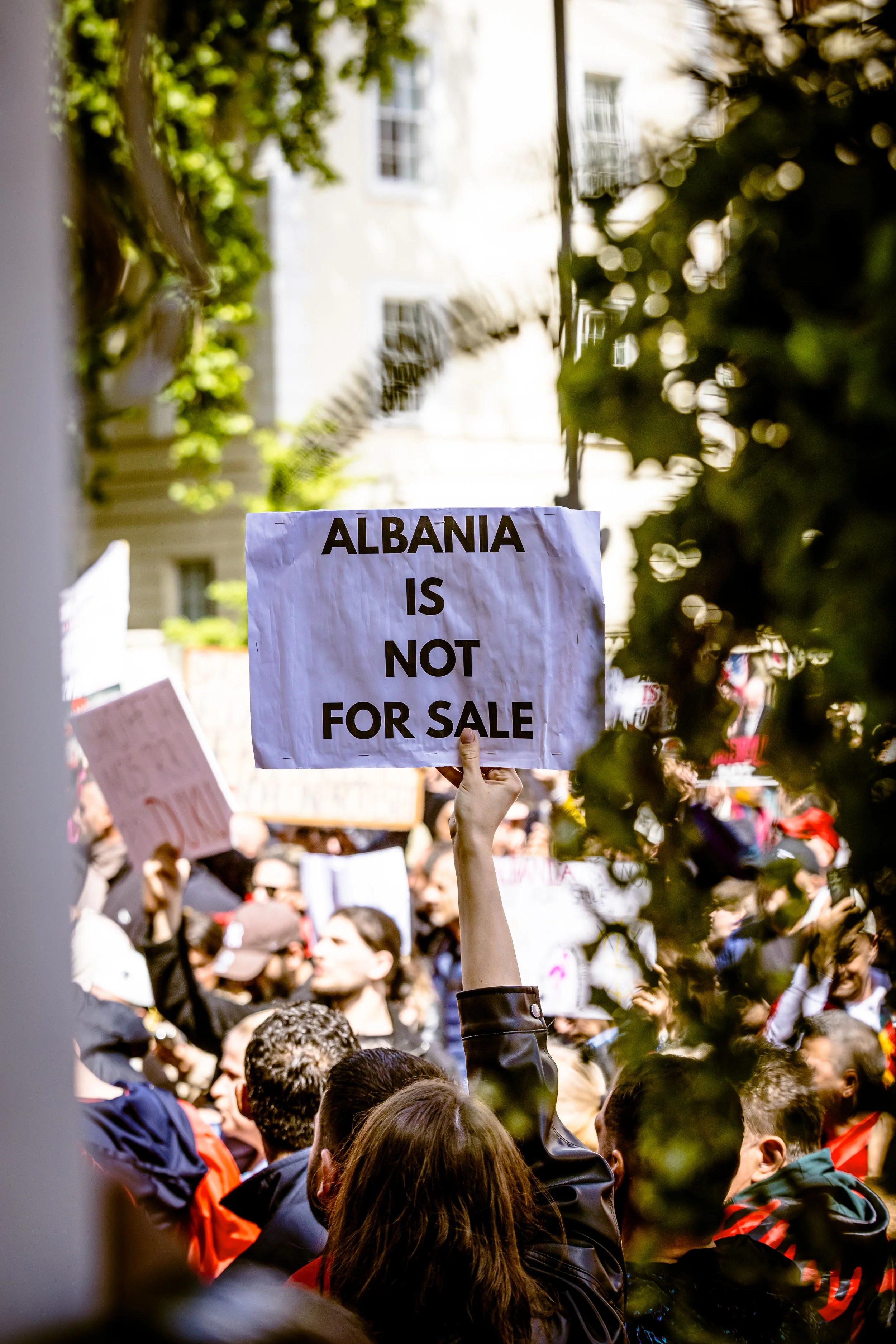 260606_RichardBayfield_AlbanianEmbassy-20.jpg