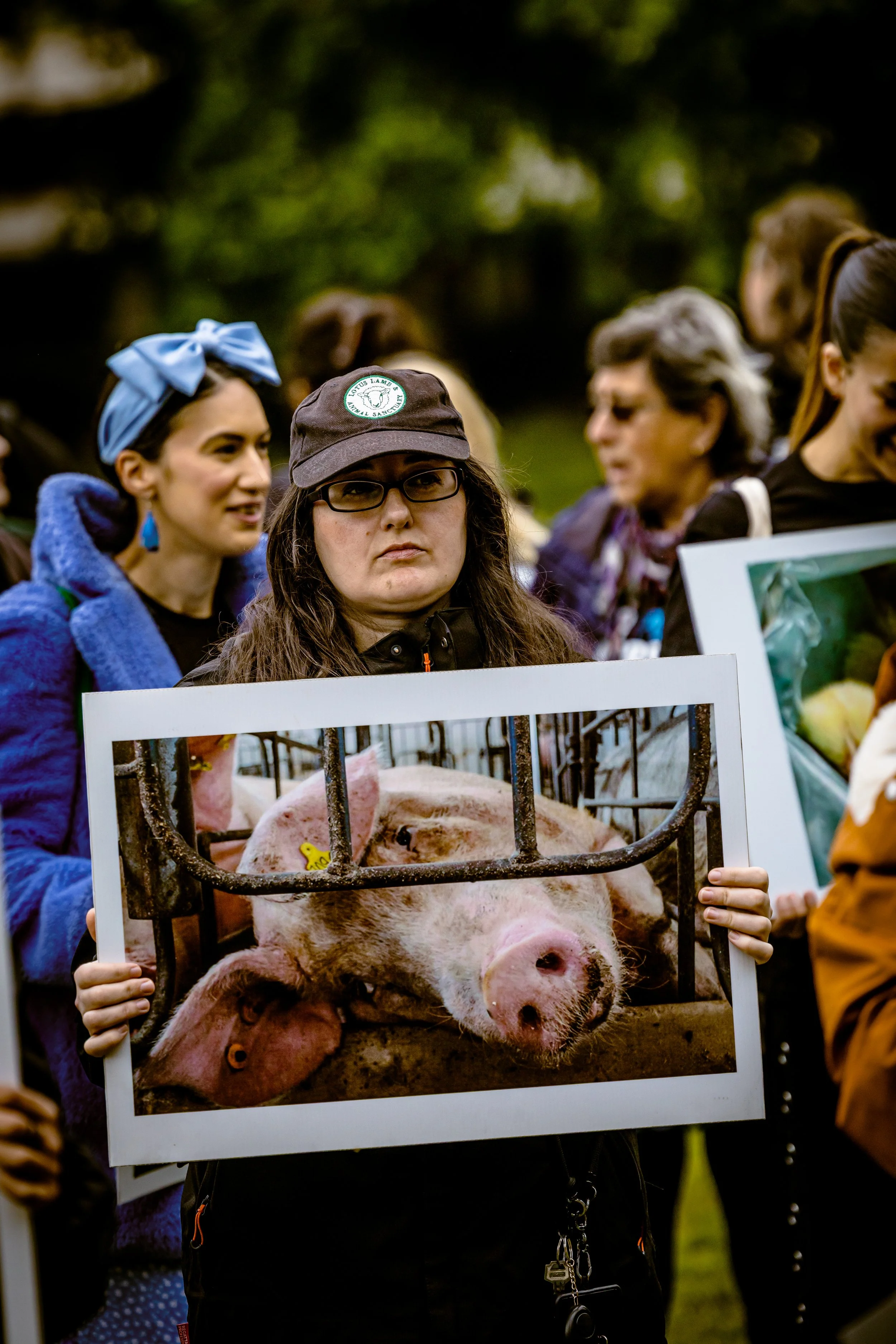 260606_RichardBayfield_Animalrights-3.jpg