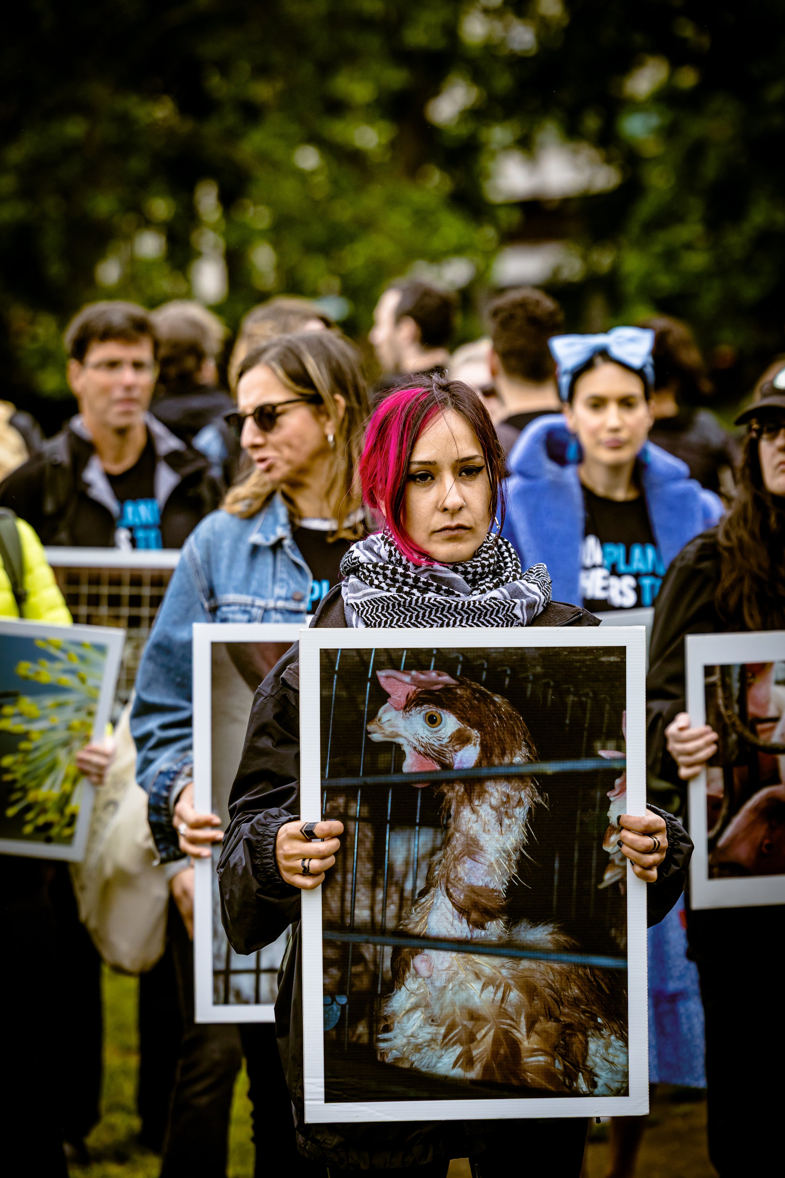 260606_RichardBayfield_Animalrights-1.jpg