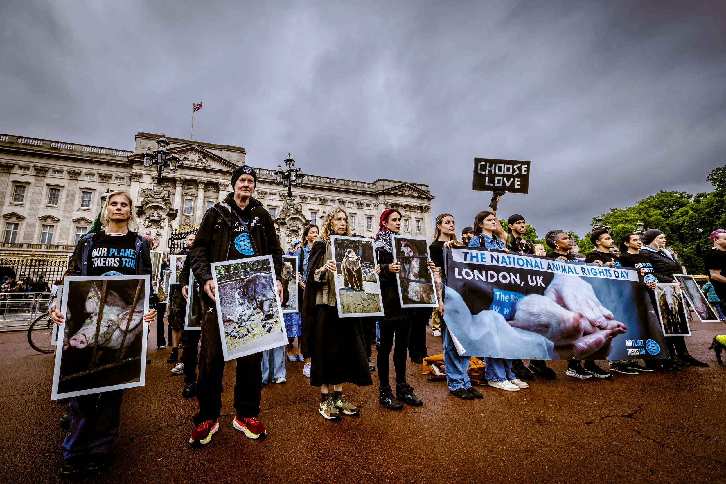 260606_RichardBayfield_Animalrights-11.jpg