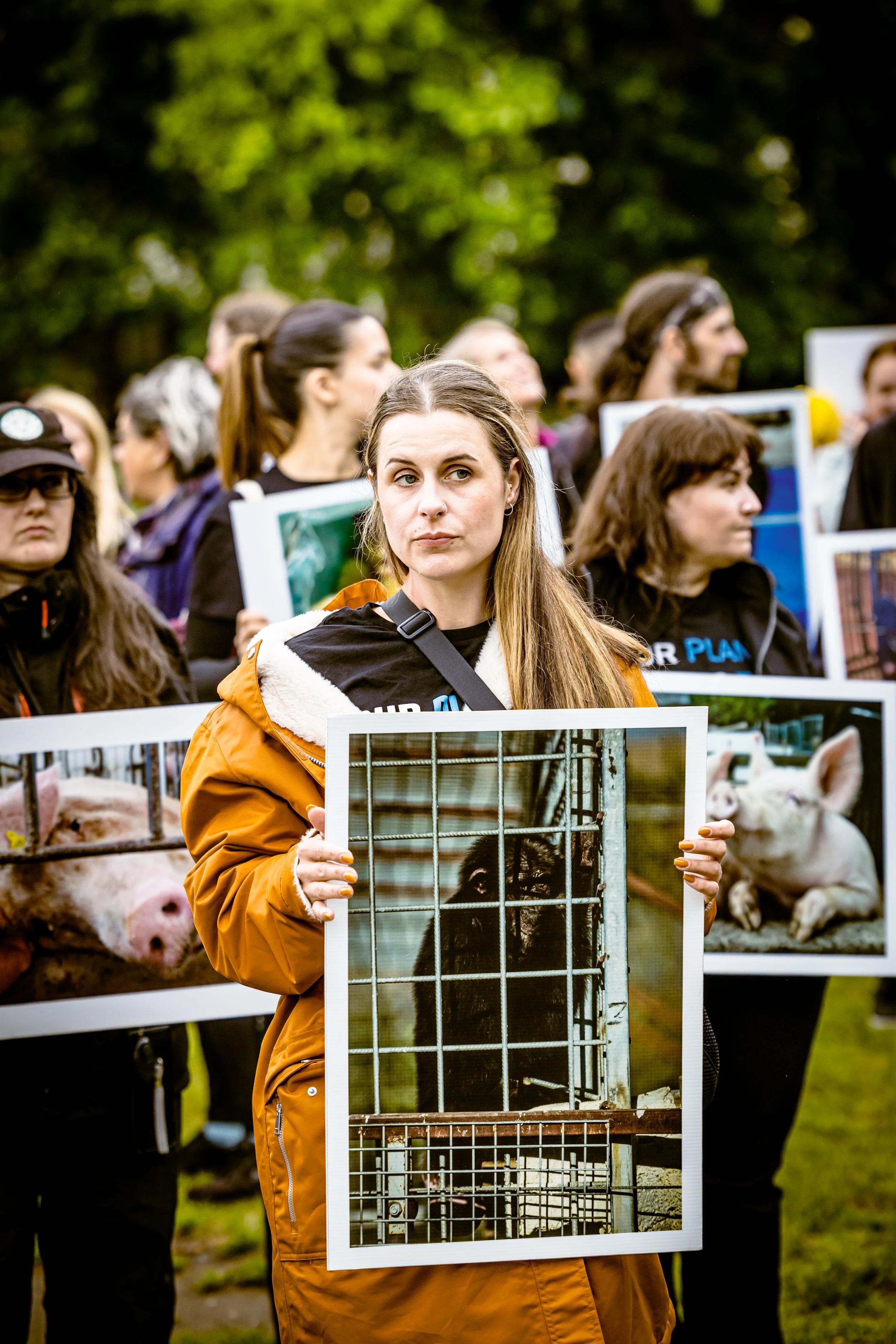 260606_RichardBayfield_Animalrights-2.jpg