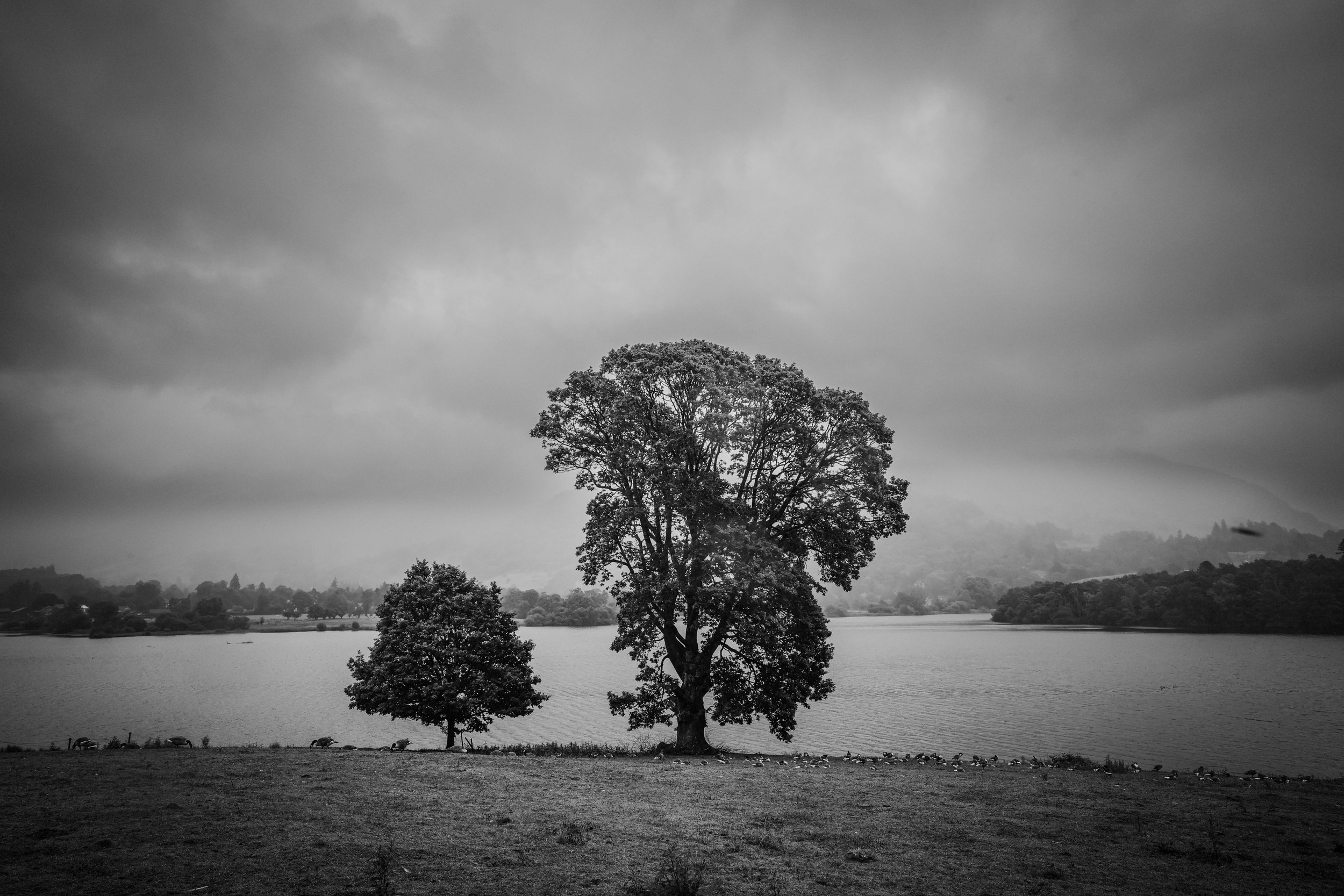 260619_RichardBayfield_Grassmere-1.jpg