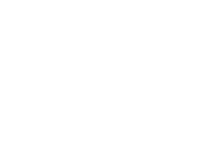 Bild av texten: 300+ nöjda årskunder