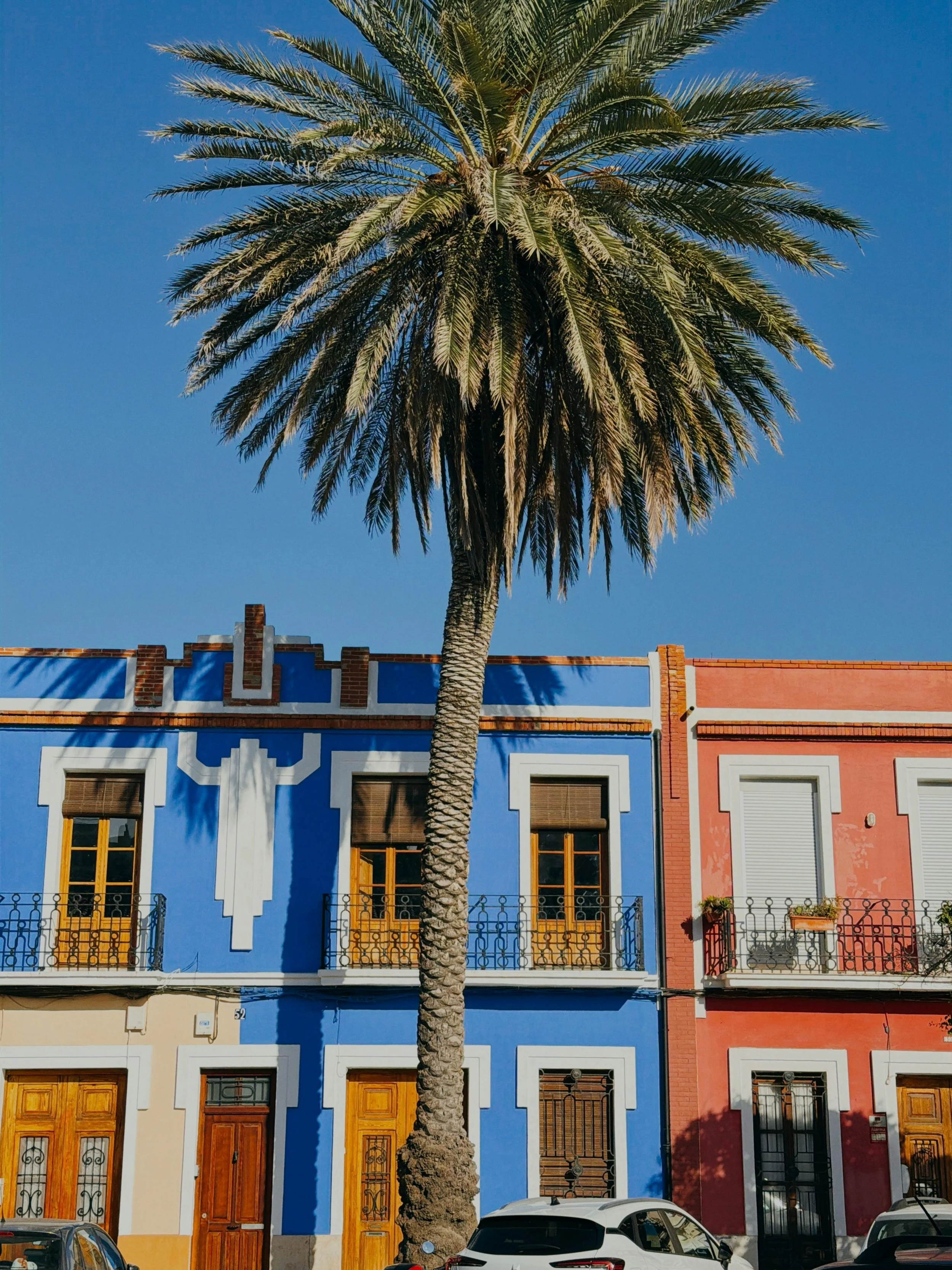 Colorful buildings with wooden doors and windows, a tall palm tree in front, and a clear blue sky.