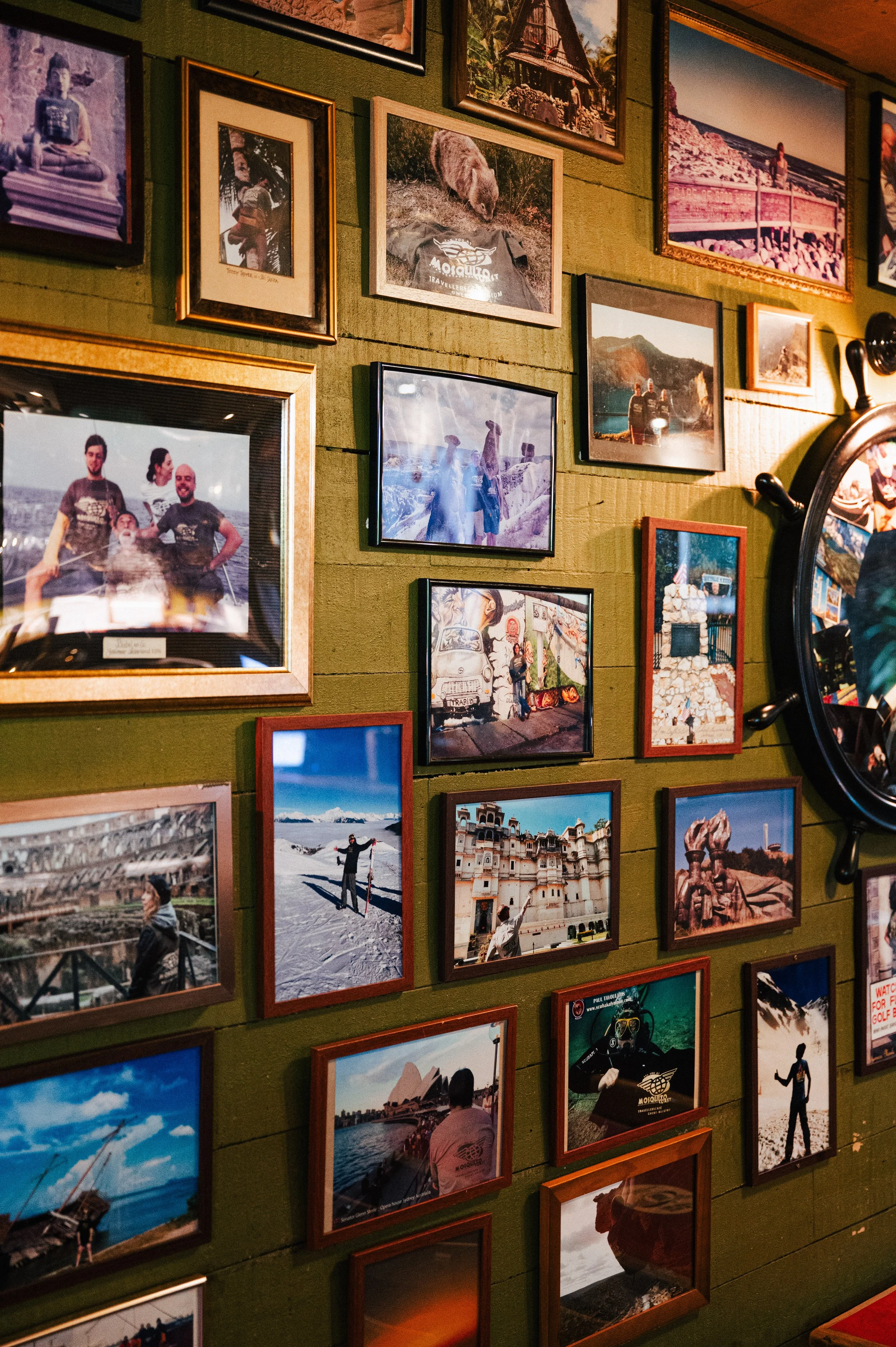 20251027 Mosquito Coast-115.jpg