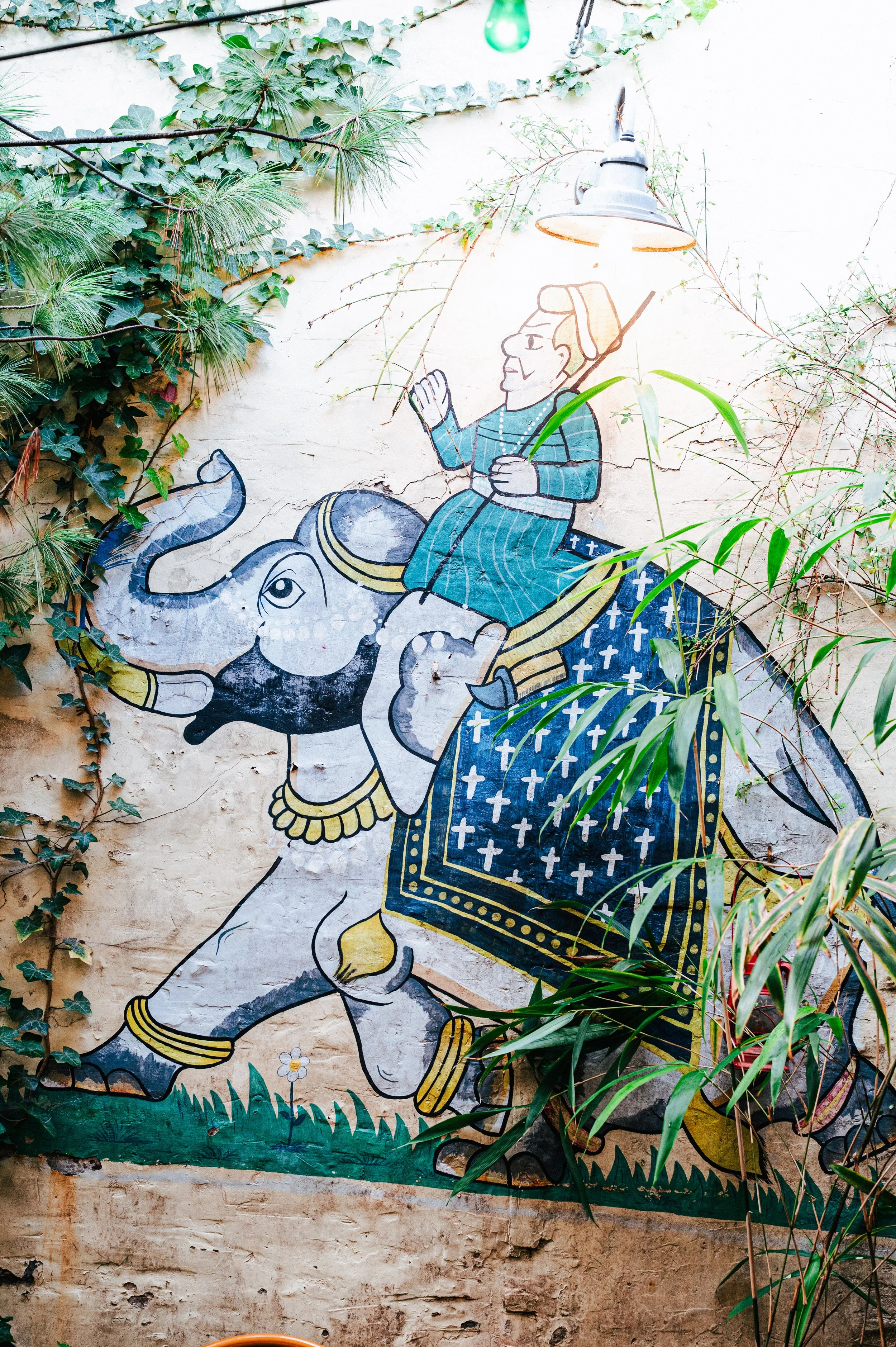 20251027 Mosquito Coast-256.jpg