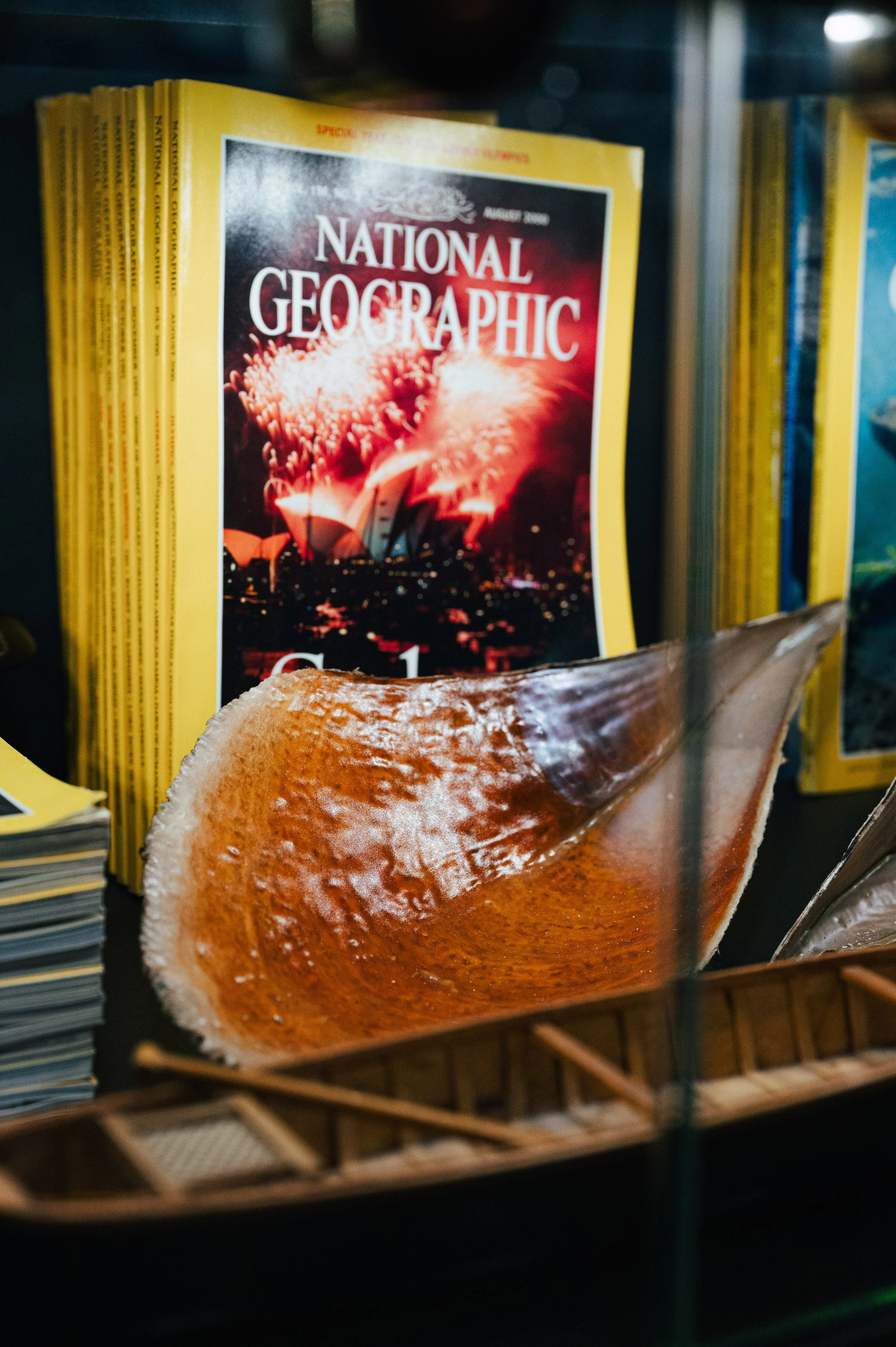 20251027 Mosquito Coast-67.jpg