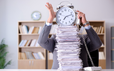 Was nach der Gewerbeanmeldung passiert: Post, Fristen und Pflichten