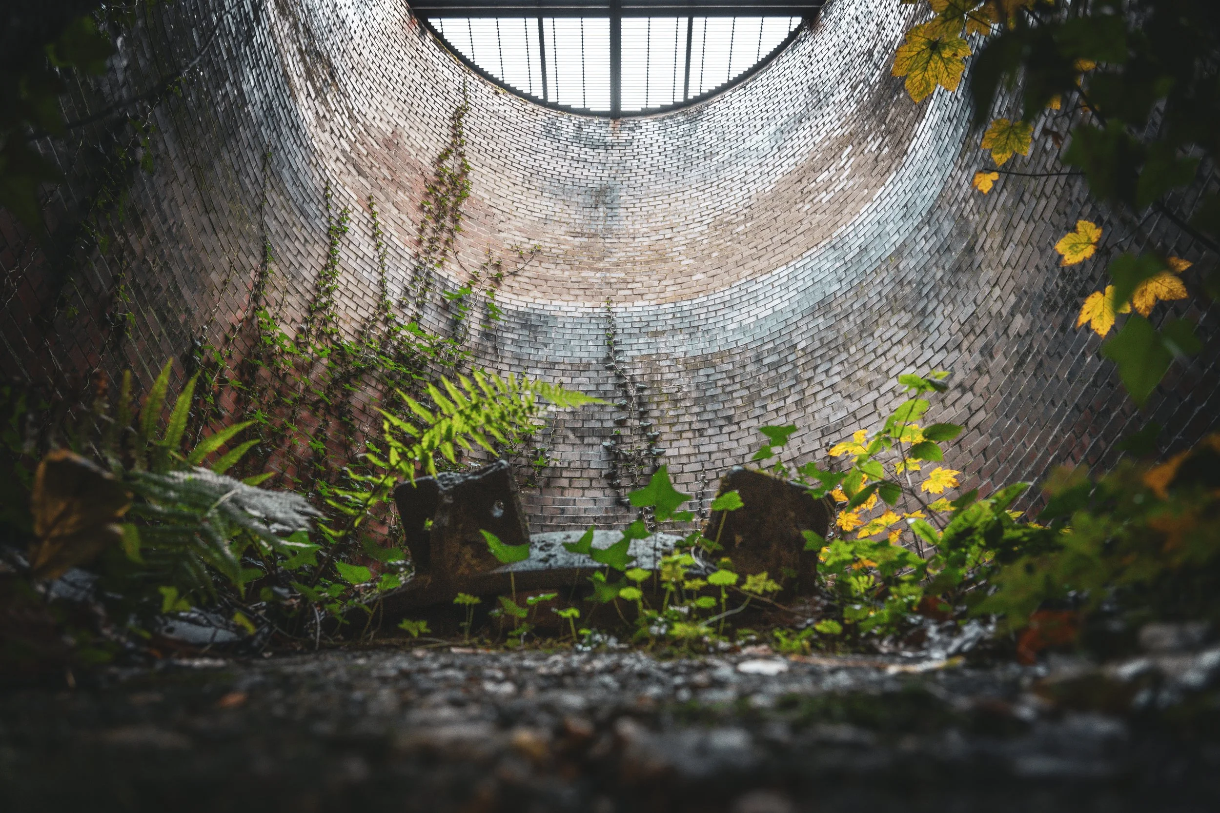 Photo prise du bas d'un four de calcination, avec des plantes grimpantes et des feuilles vertes pousseant autour.