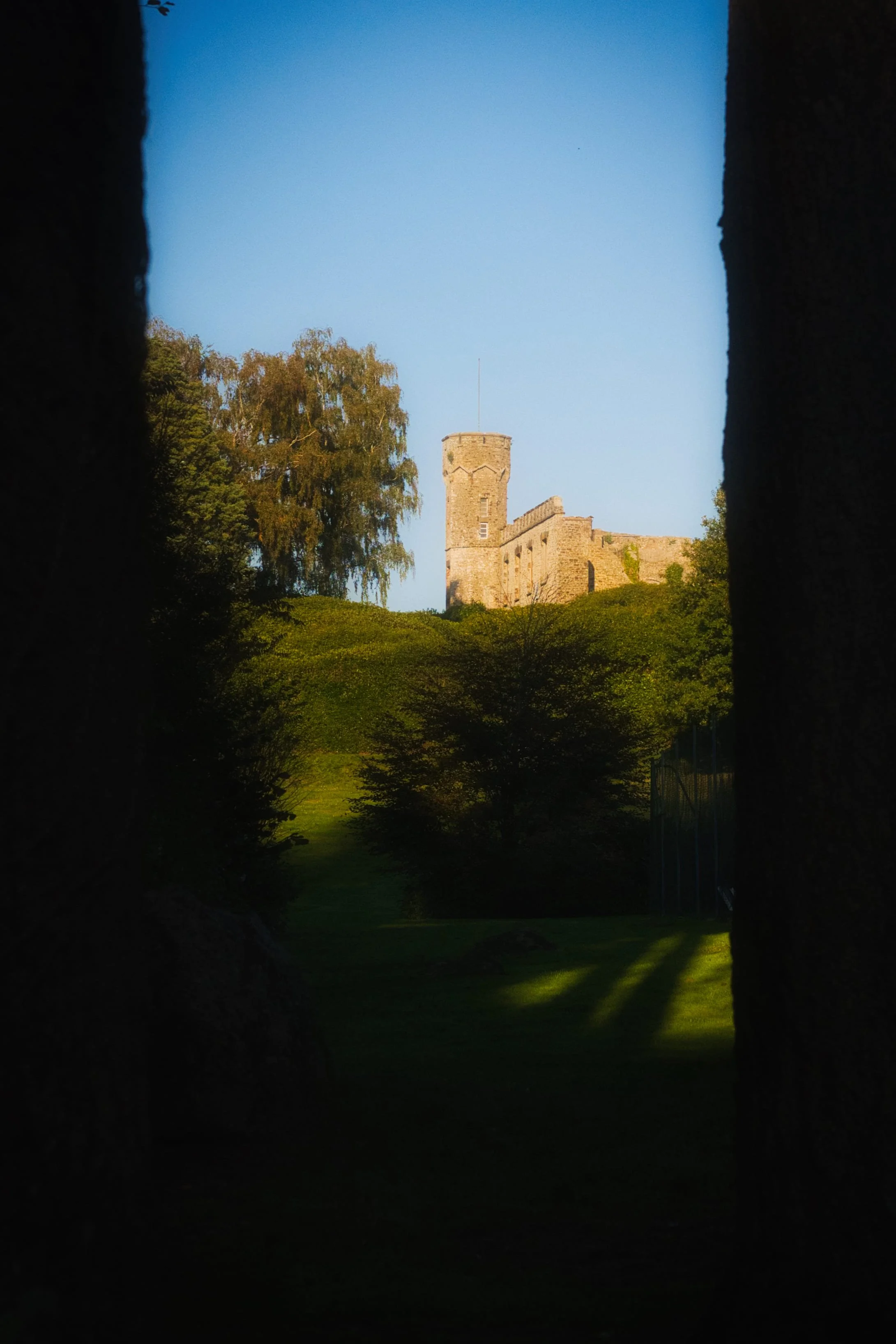 Vue du château du mont de Cerisy vu à travers les arbres, sous un ciel bleu clair.