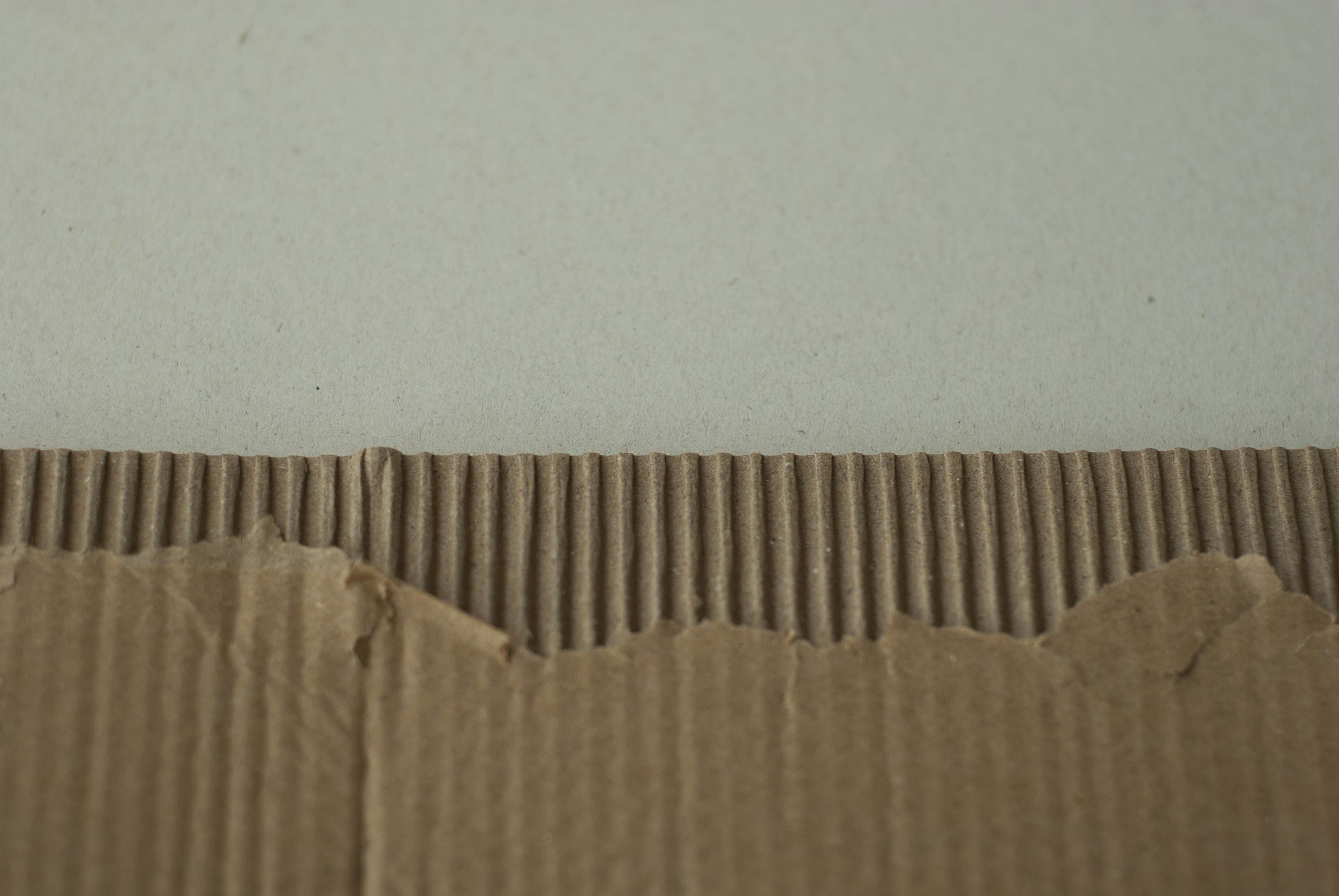 Industrial Vacuums for Packaging and Trim Extraction