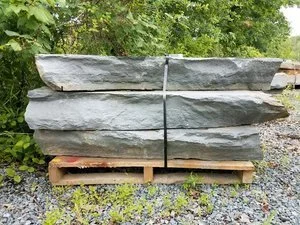 Steps - Natural Bluestone Steps