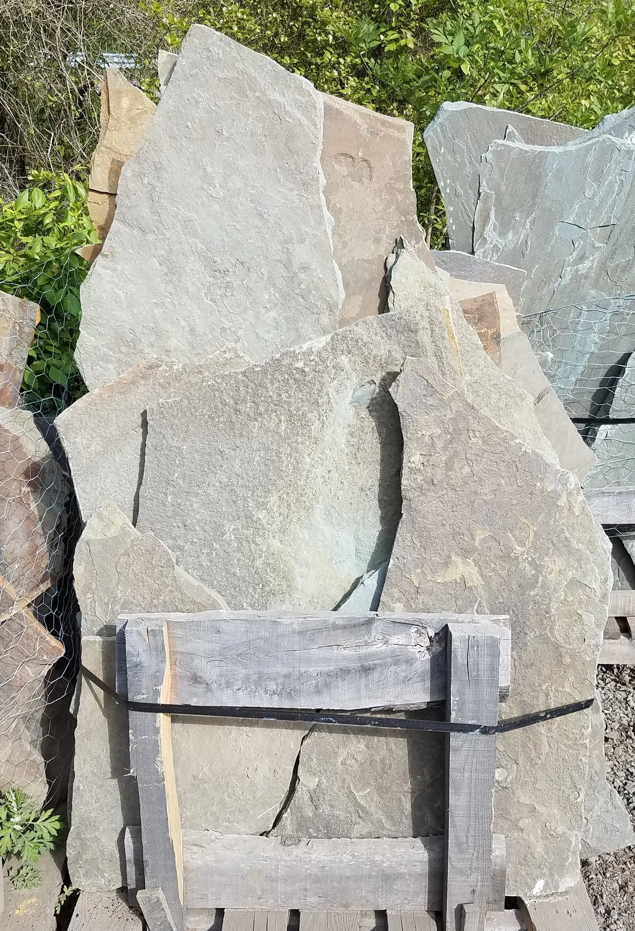 Stand-Up Mixed Color Natural Cleft