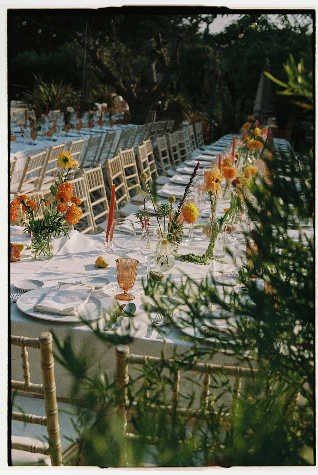 Tiago Pereira-51.jpg