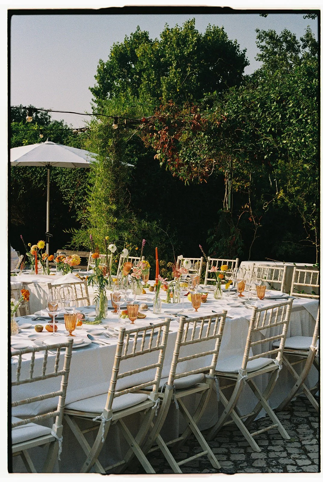 Tiago Pereira-54.jpg