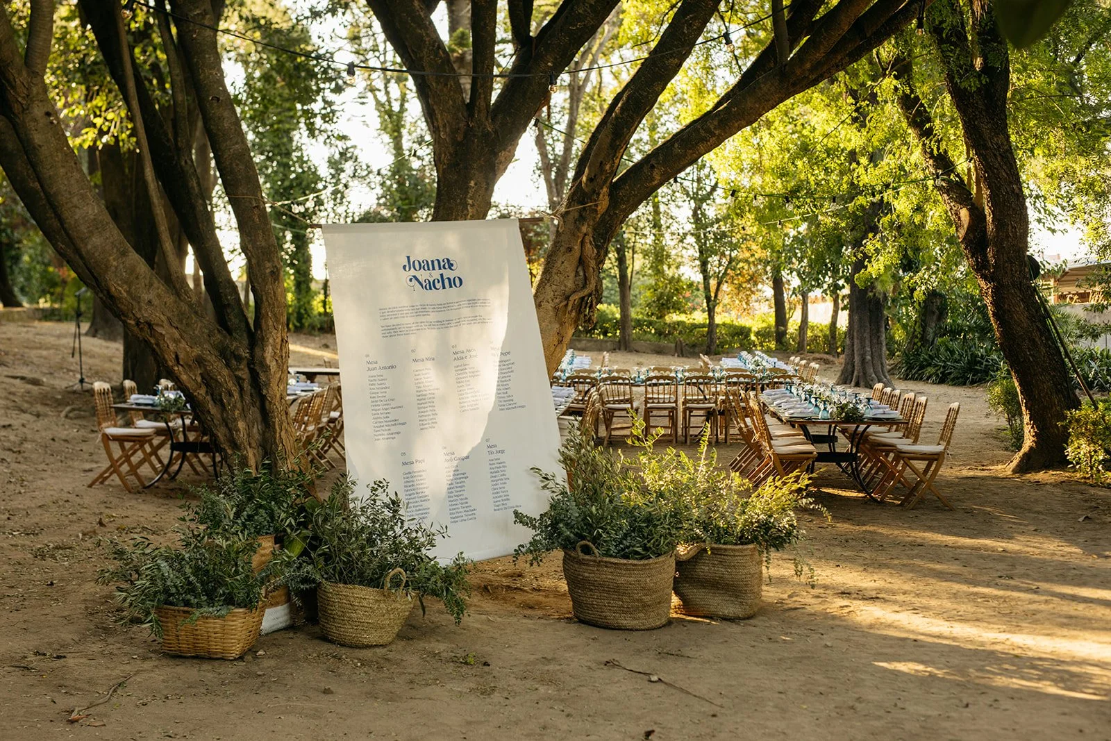 Ancient Roots and Olive Leaves: A Timeless Wedding Story