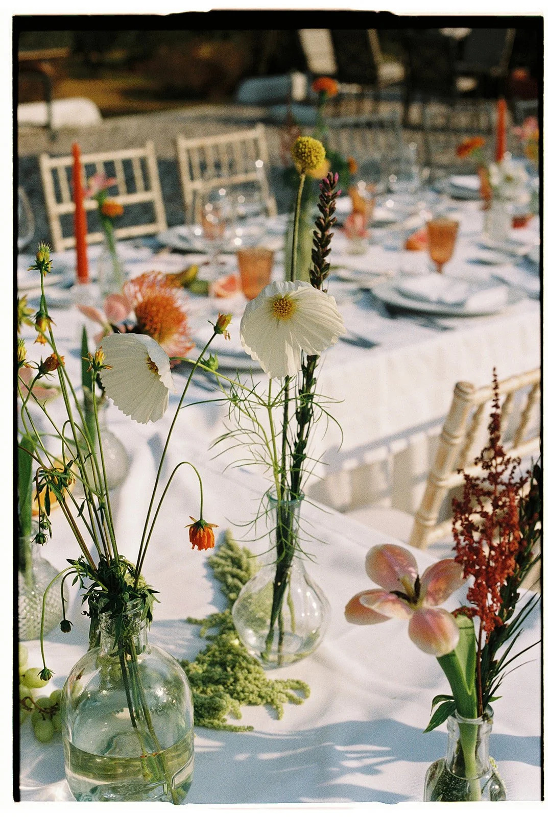 Tiago Pereira-52.jpg