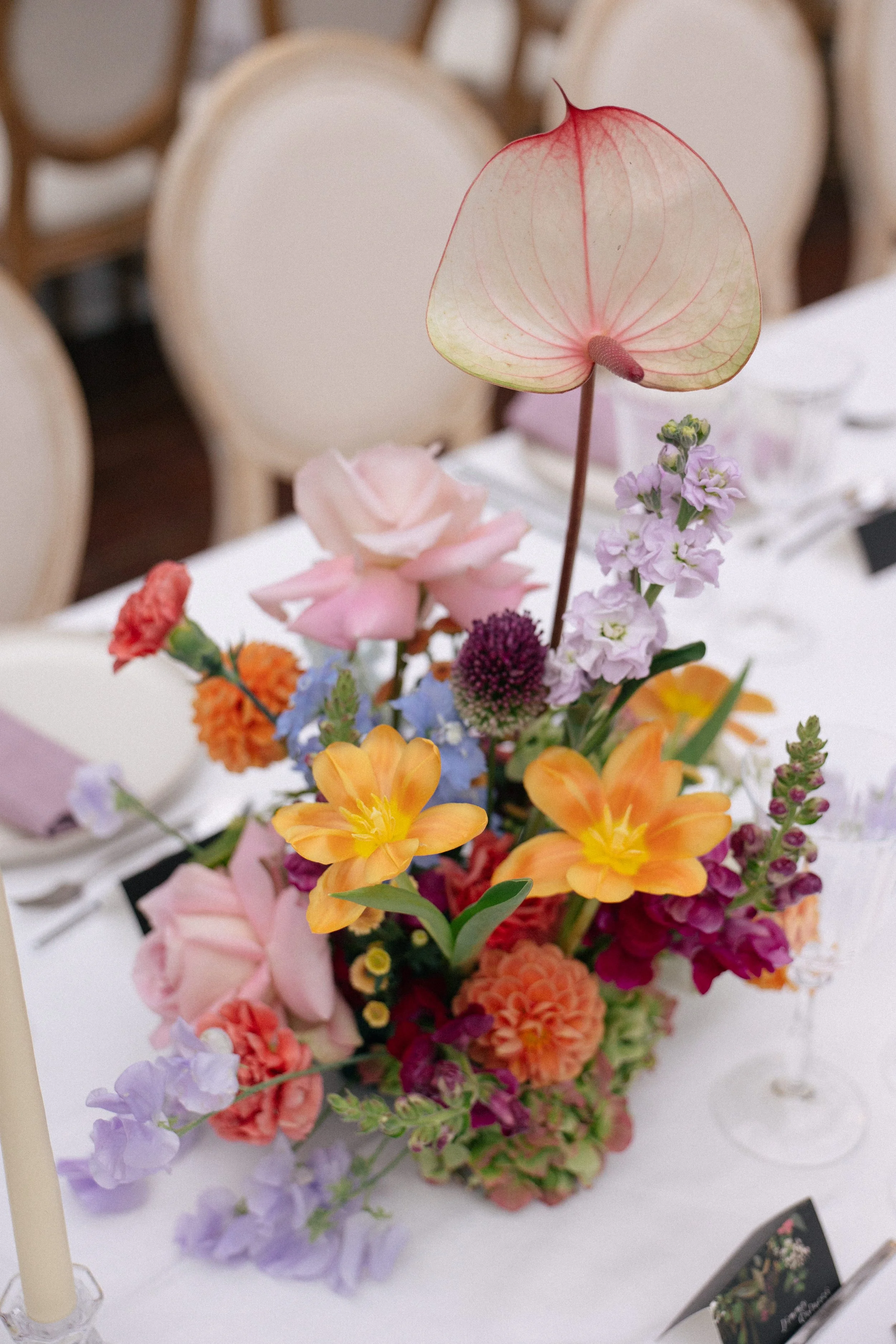 Lindsay + Chris QBV 437.jpg