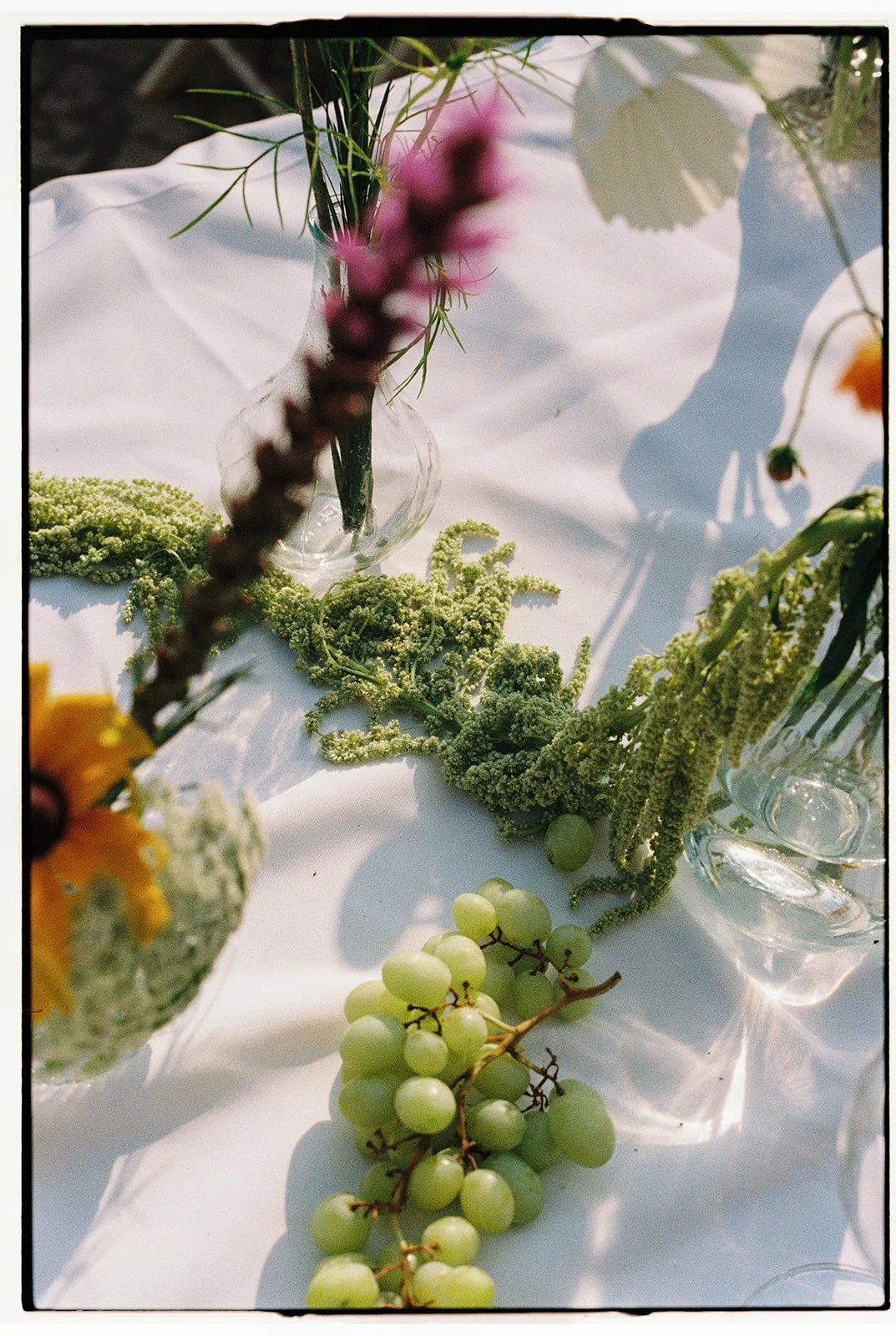 Tiago Pereira-50.jpg