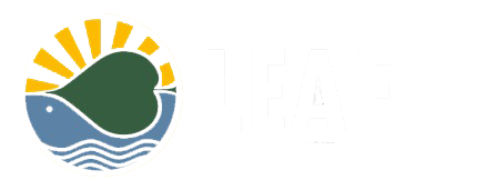 Living Earth Foundation