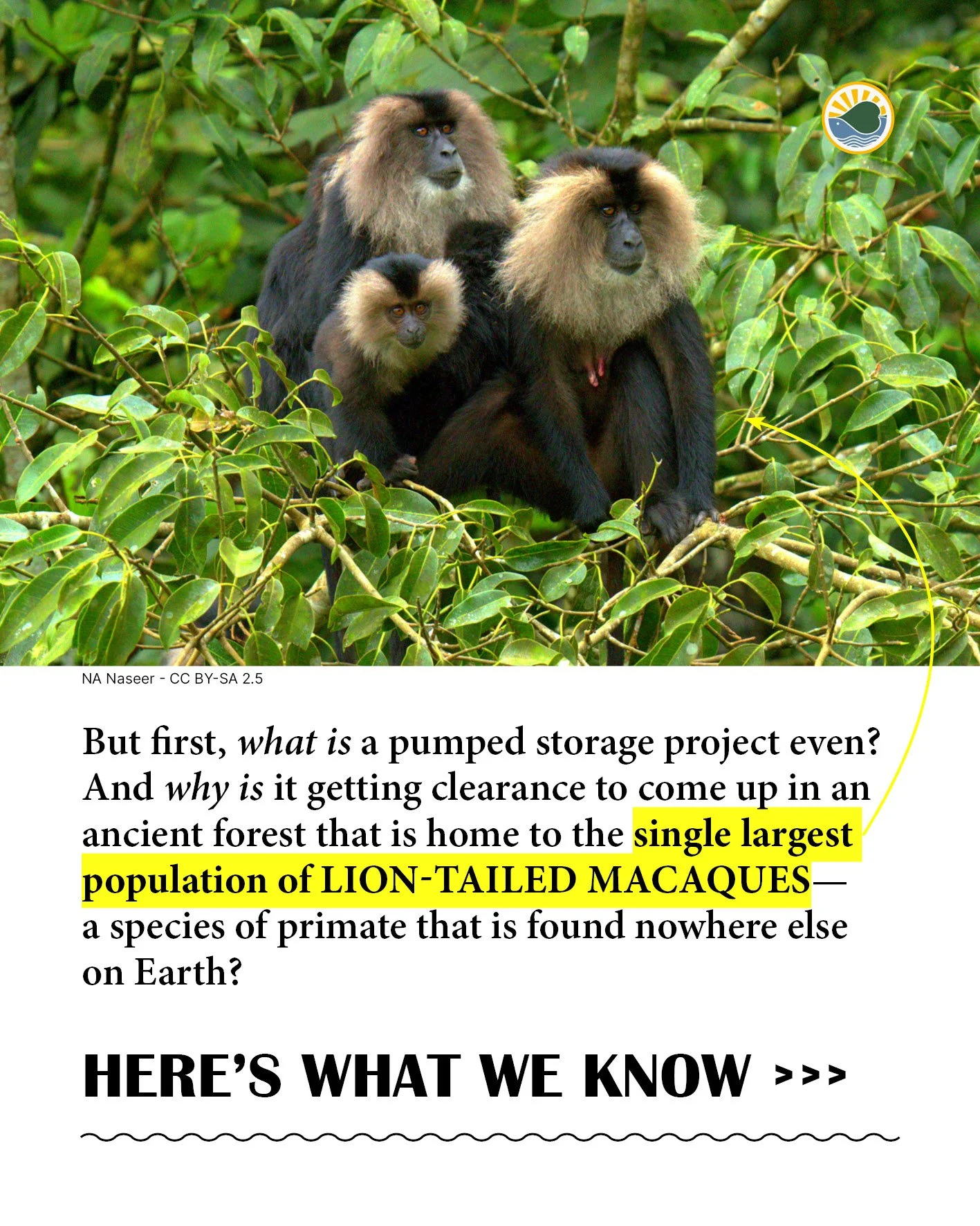 Sharavathi pumped storage2.jpg