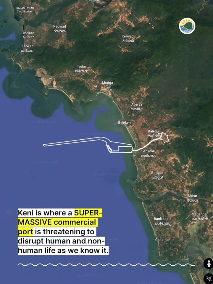 This is Keni 2-1.jpg