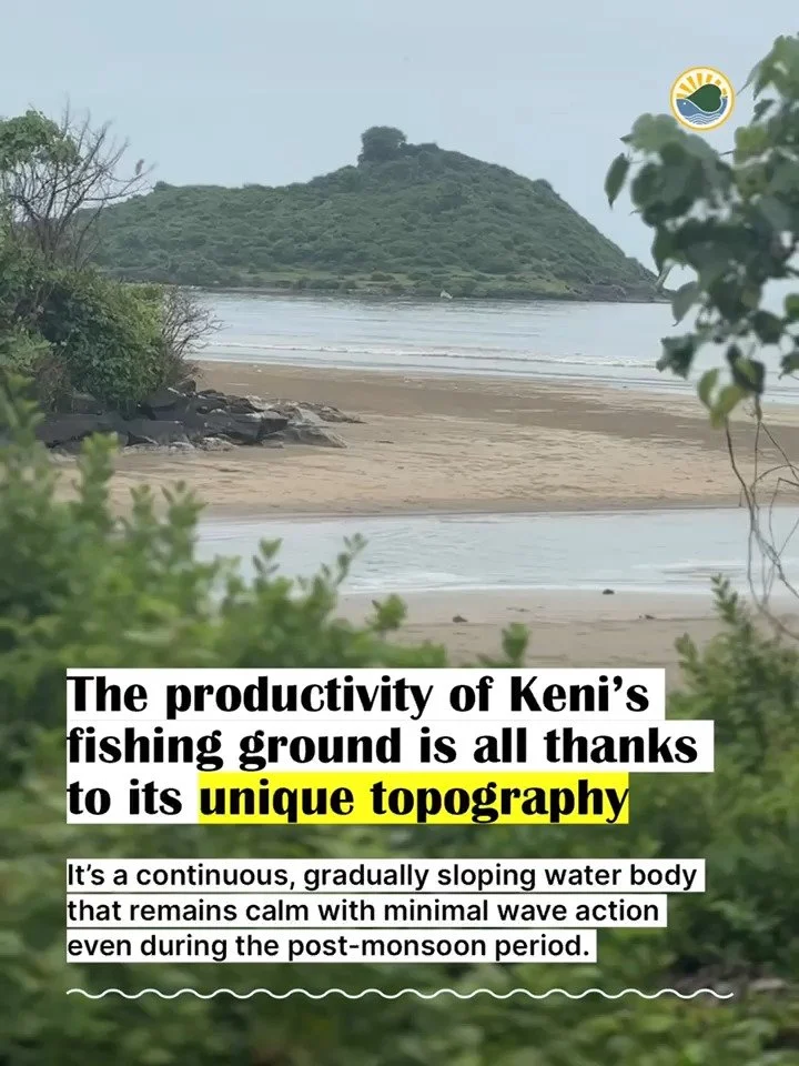 This is Keni 5-0.jpg