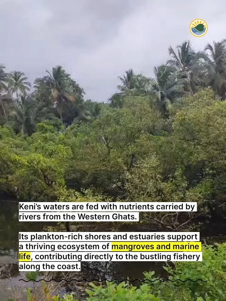 This is Keni 6-0.jpg