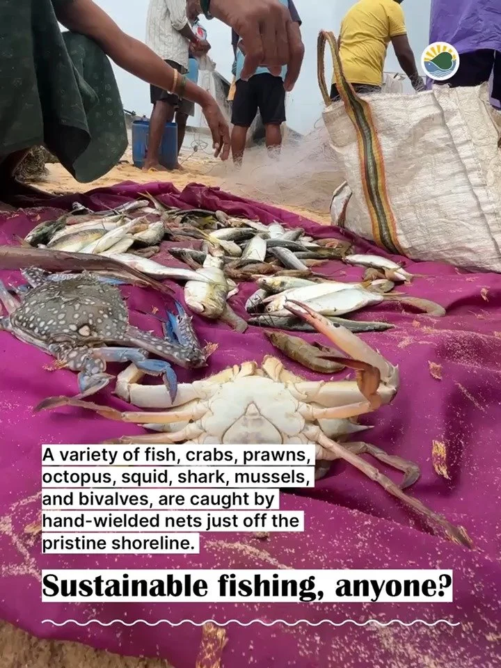 This is Keni 7-0.jpg