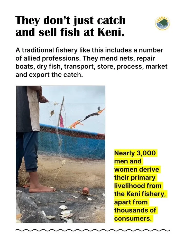 This is Keni 8-0.jpg