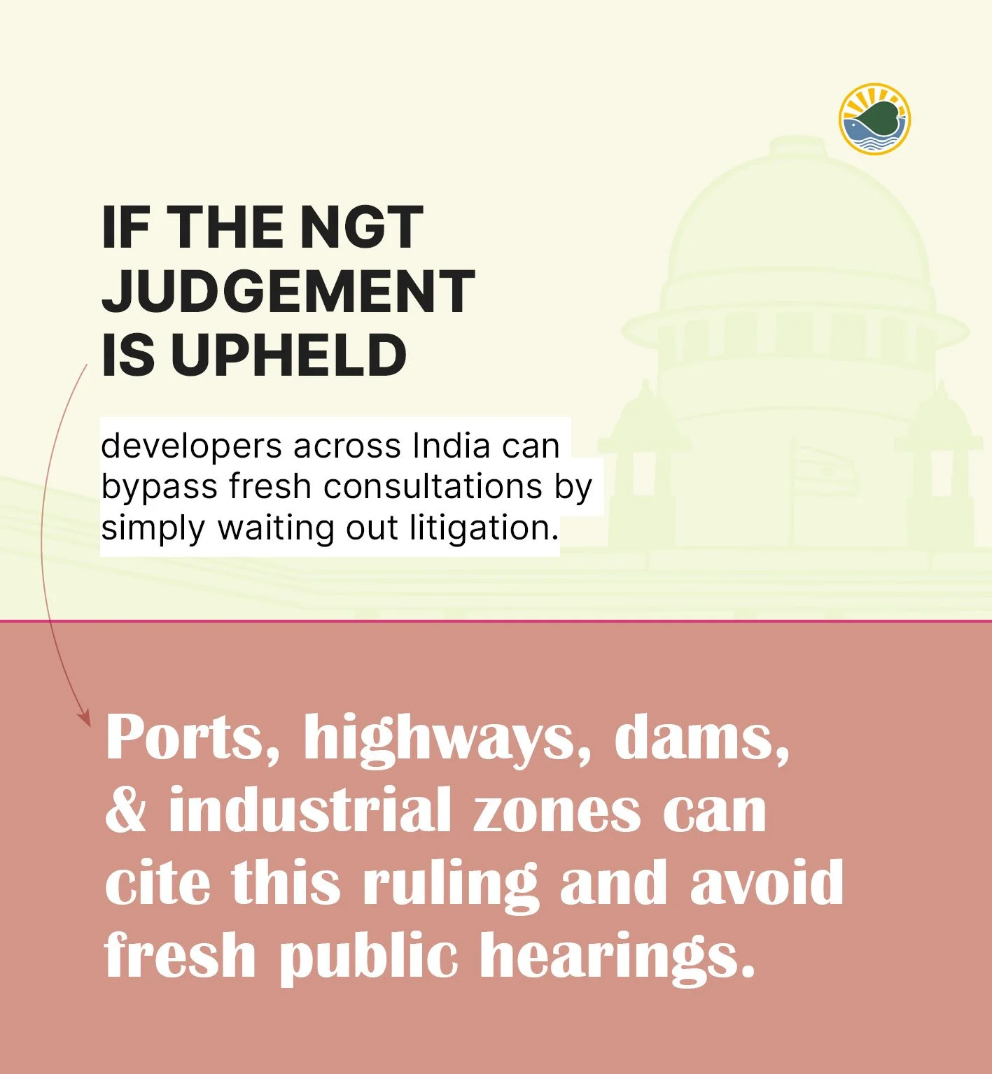 2025 SC roundup2.jpg