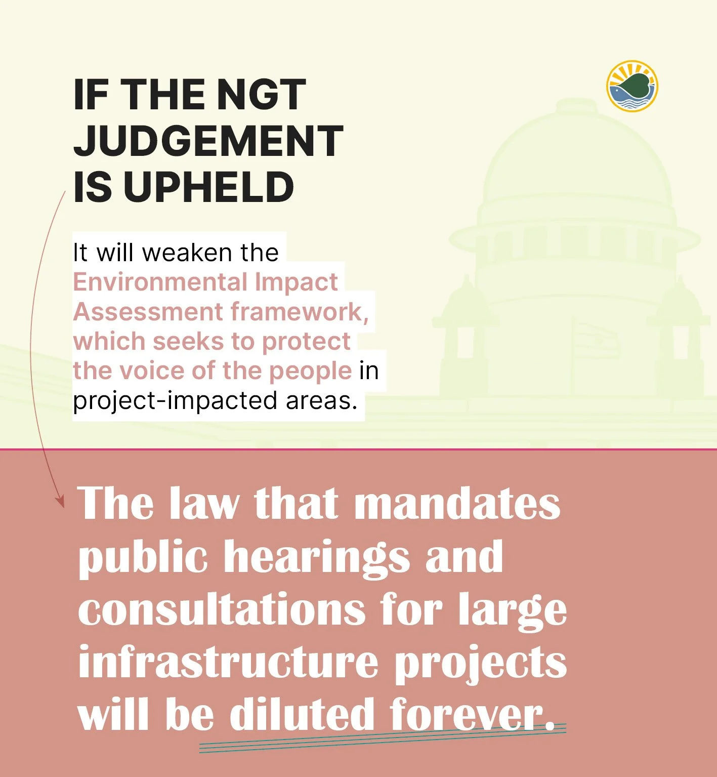 2025 SC roundup3.jpg