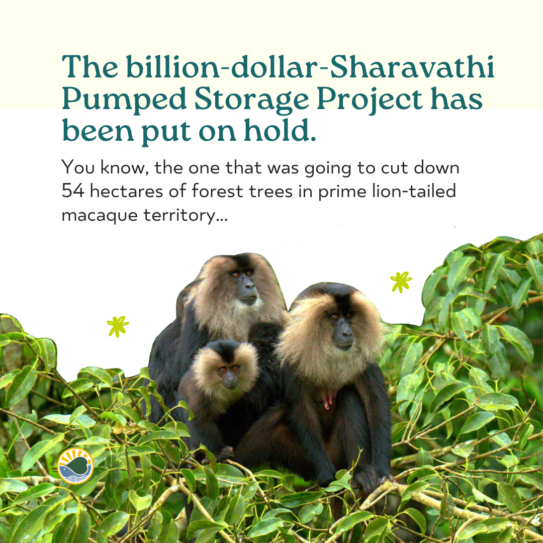 Why the billion-dollar Sharavathi PSP was put on hold