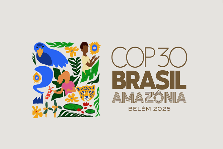 COP30: The Good, the Bad and What Businesses Need to Know
