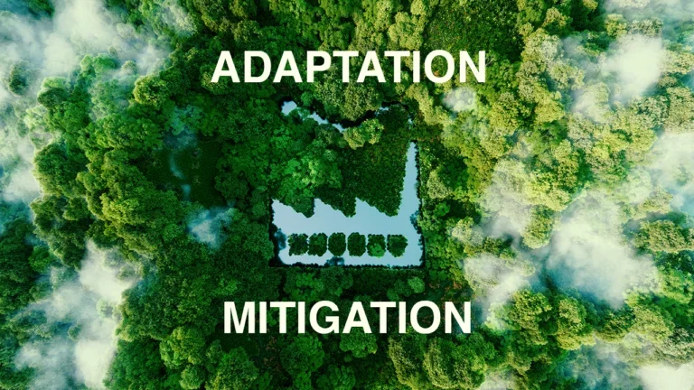 The Growing Reality of Climate Change and Why Adaptation Must Become a Core Business Strategy