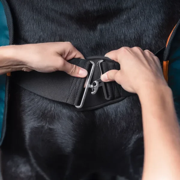 KORAK 3: Zdaj prilagodite vse pasove telesu vašega konja in jih zapnite.