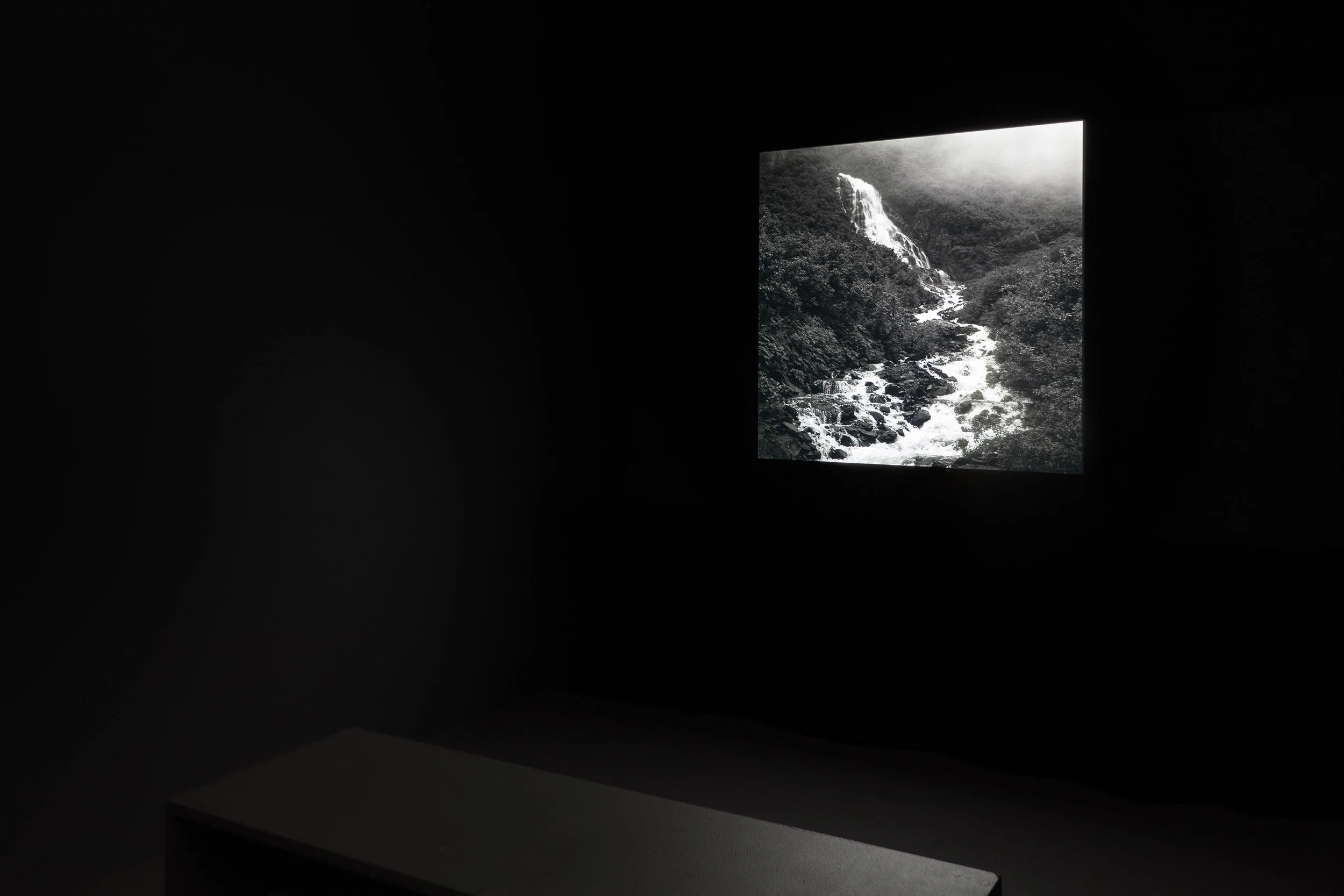 The Fireweed Turns (video projection with sound), Vårutstillingen 2024, Fotogalleriet, Oslo, Norway, 2024